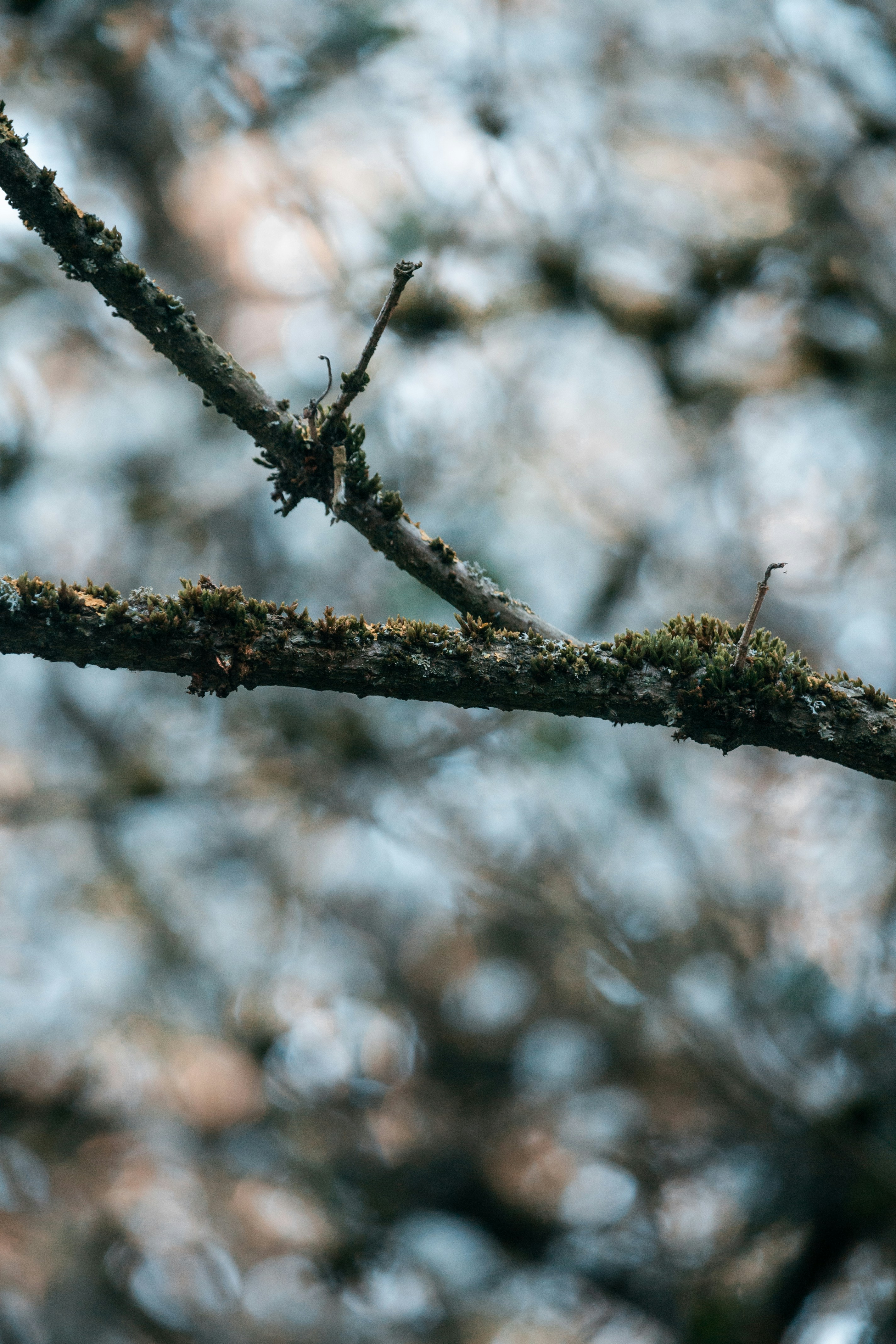 Photo by katharina_bill