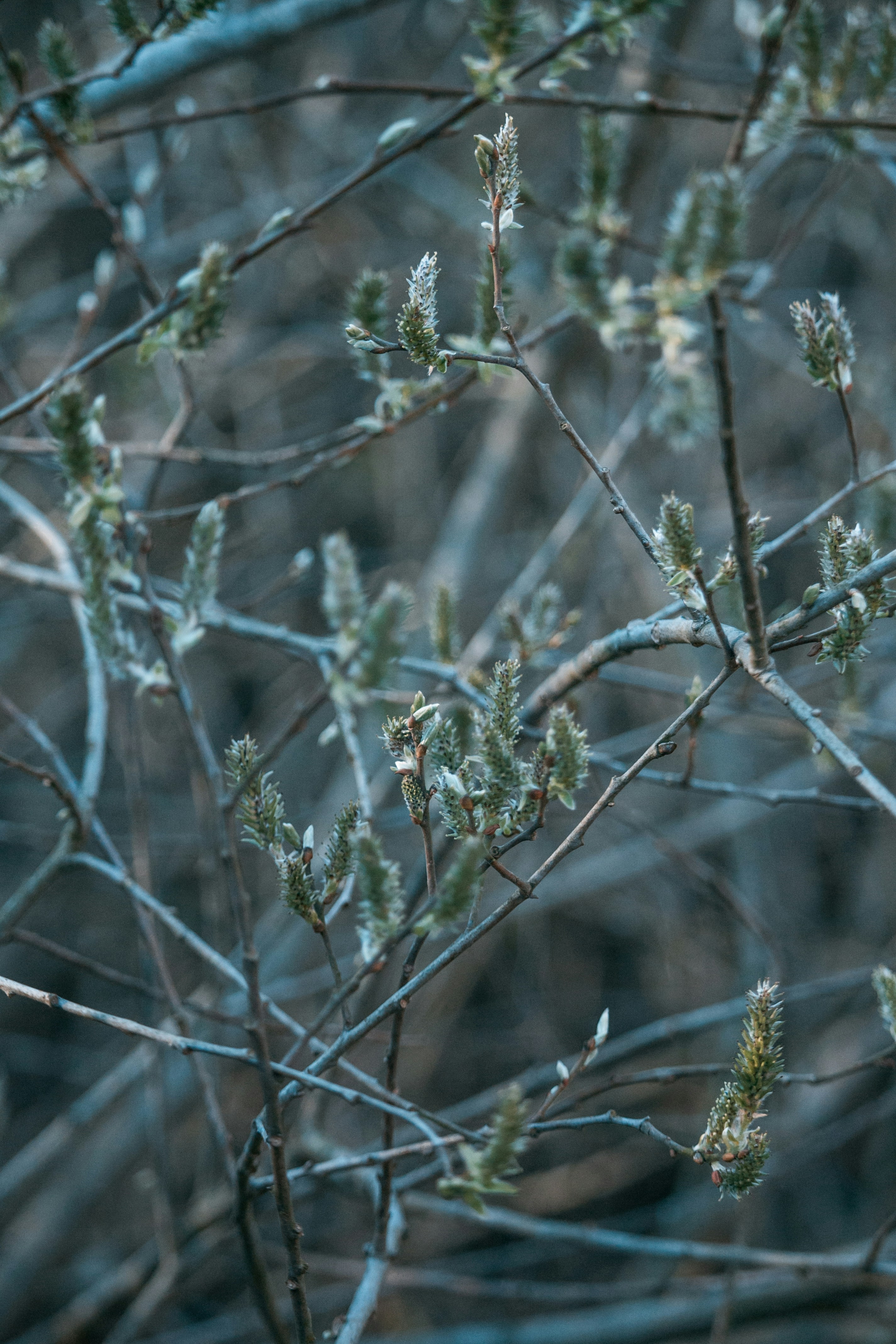 Photo by katharina_bill