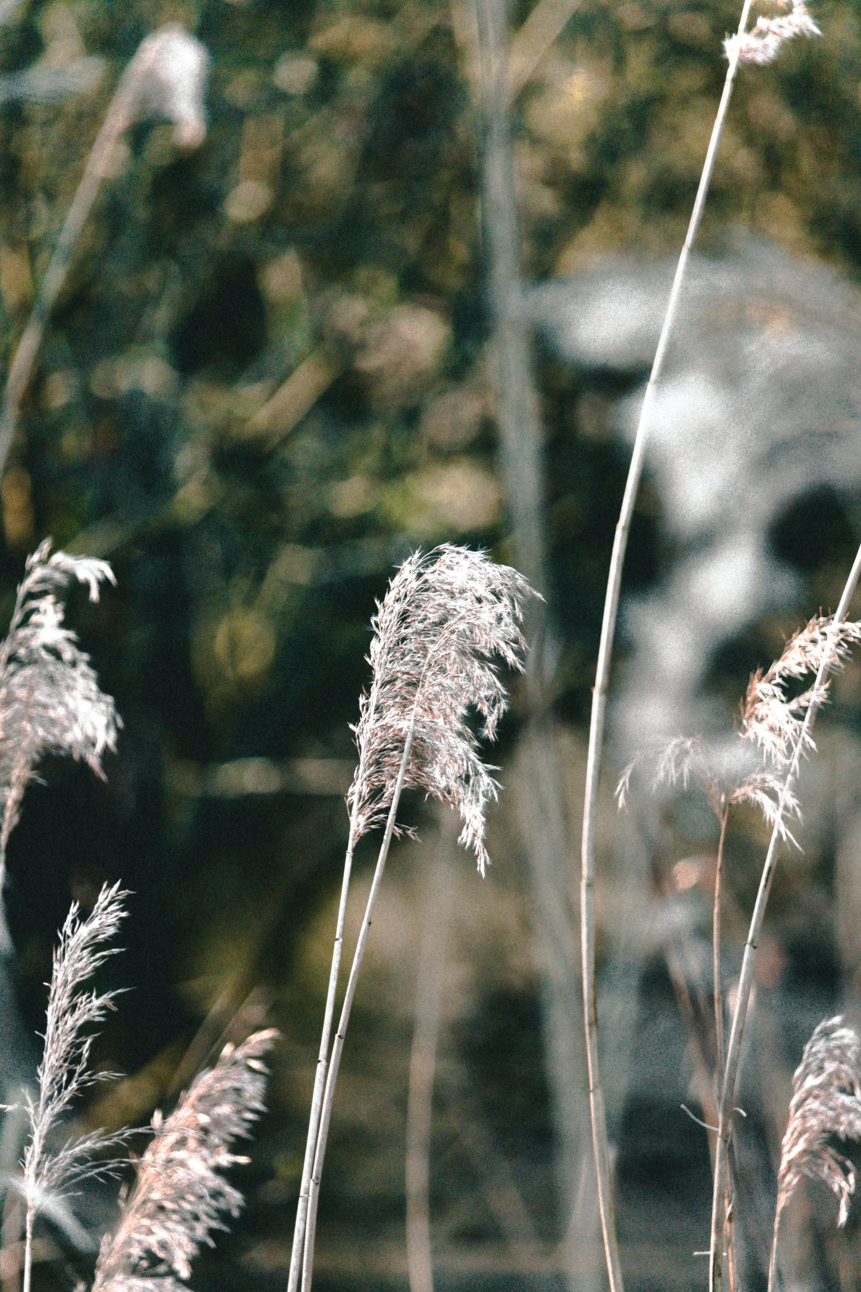 Photo by katharina_bill