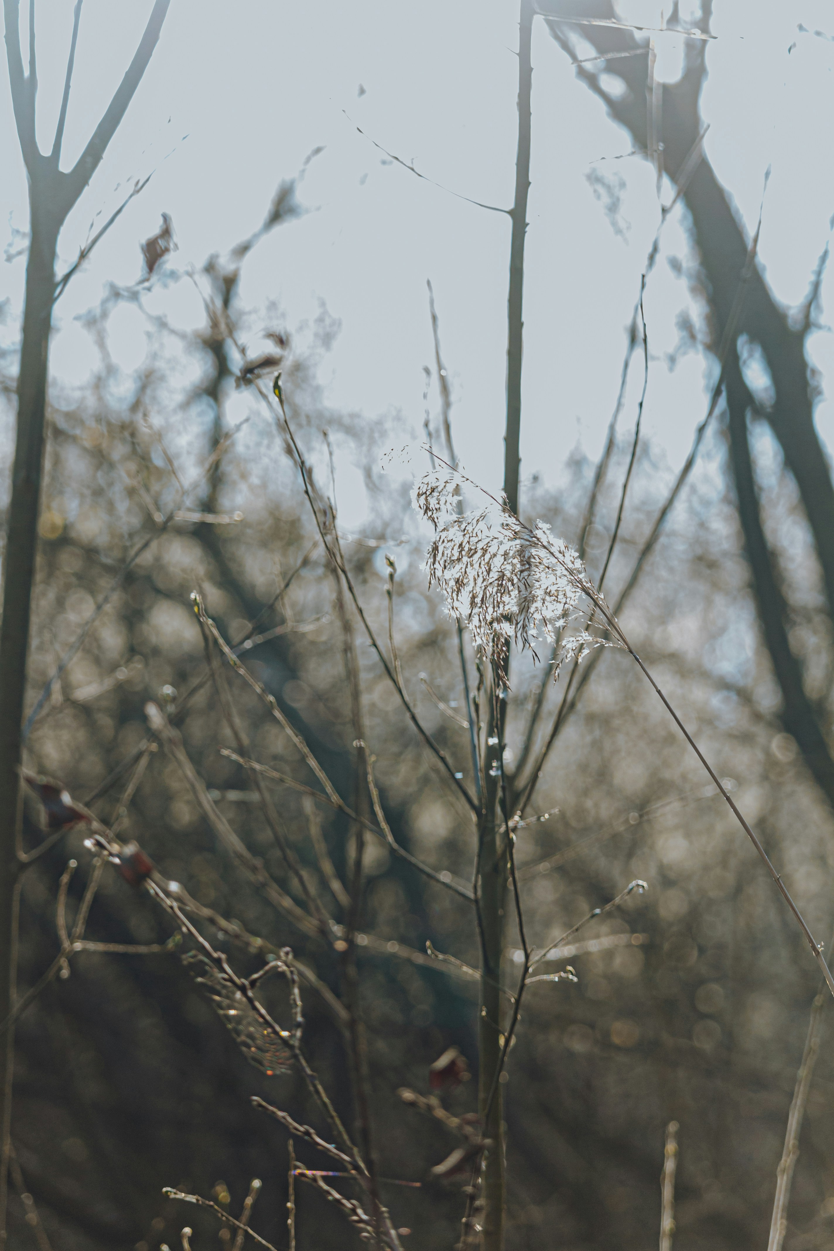 Photo by katharina_bill