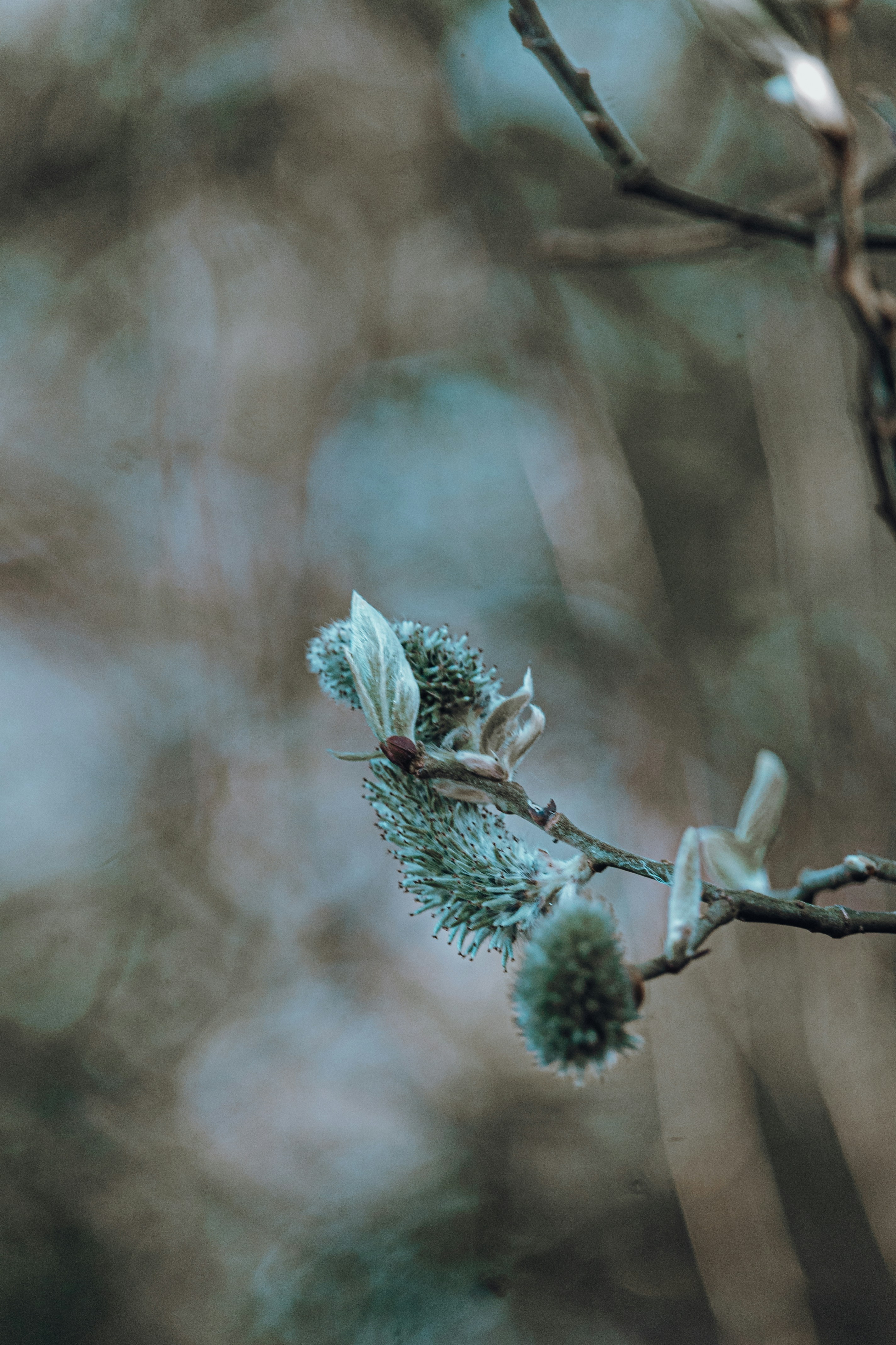 Photo by katharina_bill