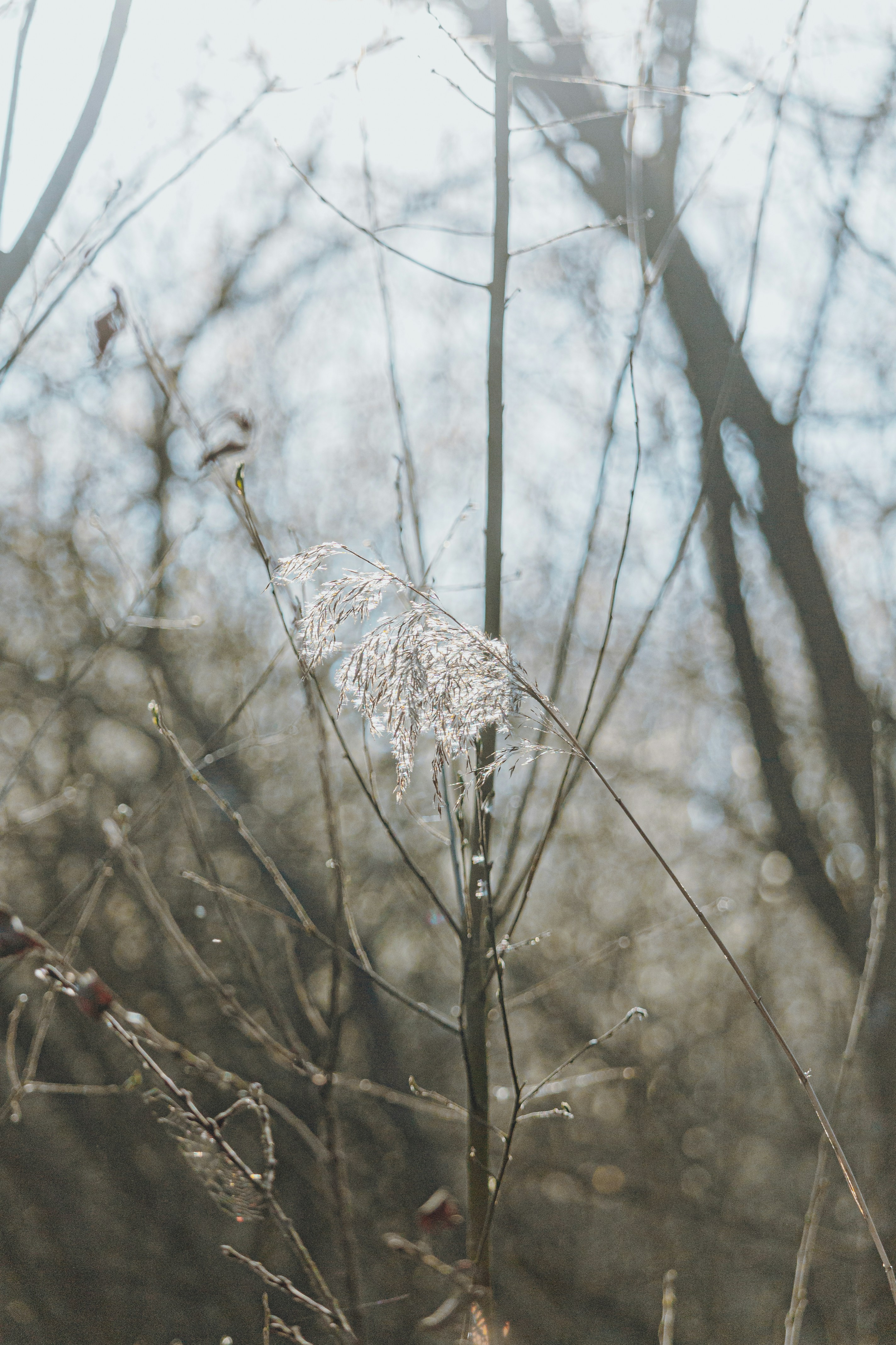 Photo by katharina_bill