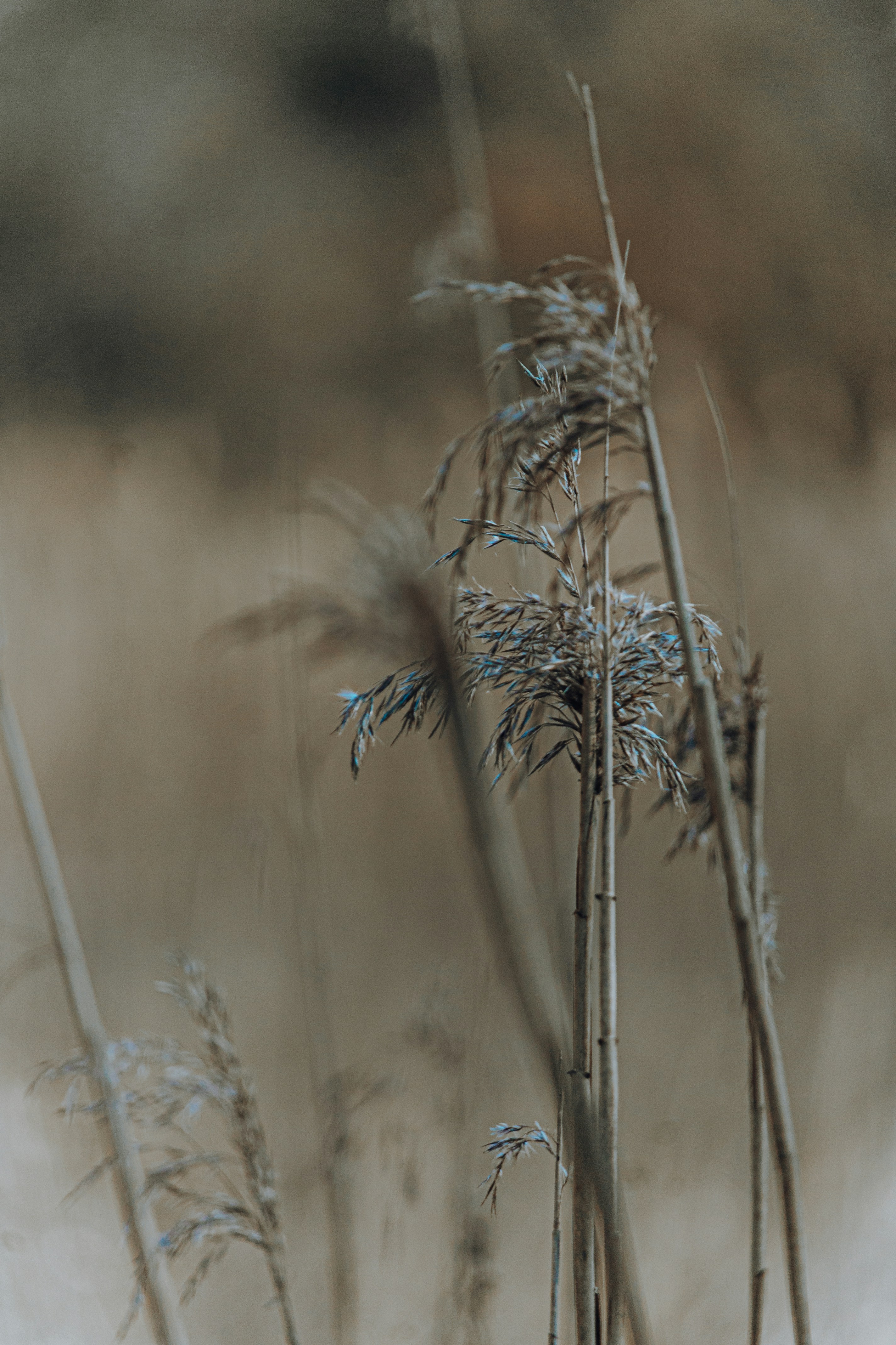 Photo by katharina_bill