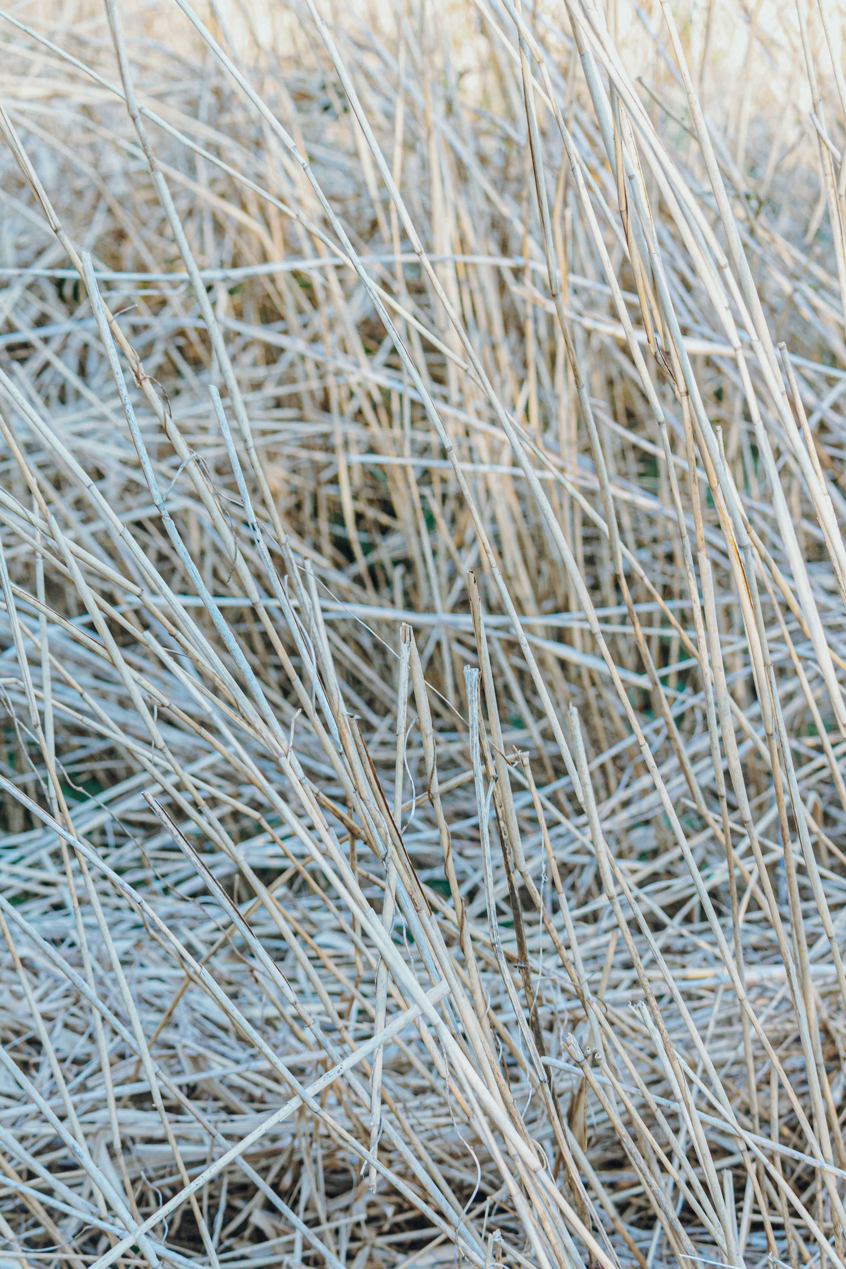 Photo by katharina_bill