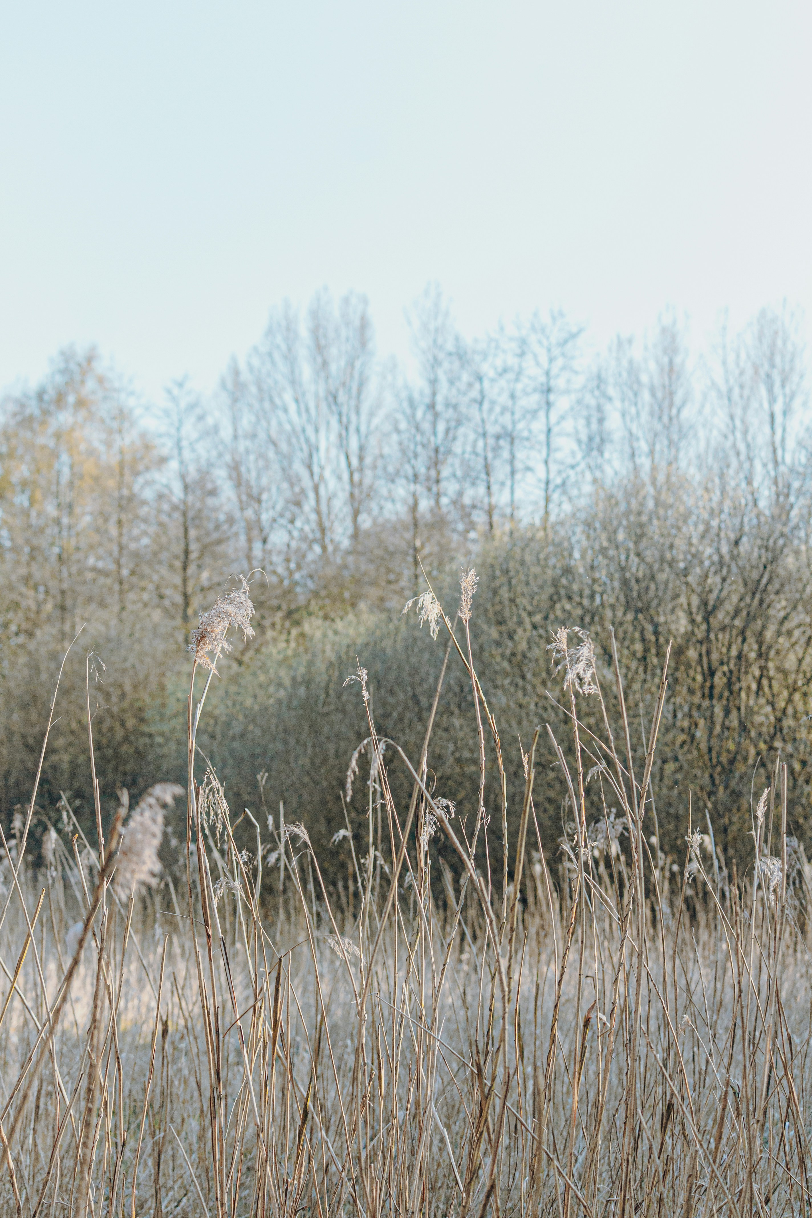 Photo by katharina_bill