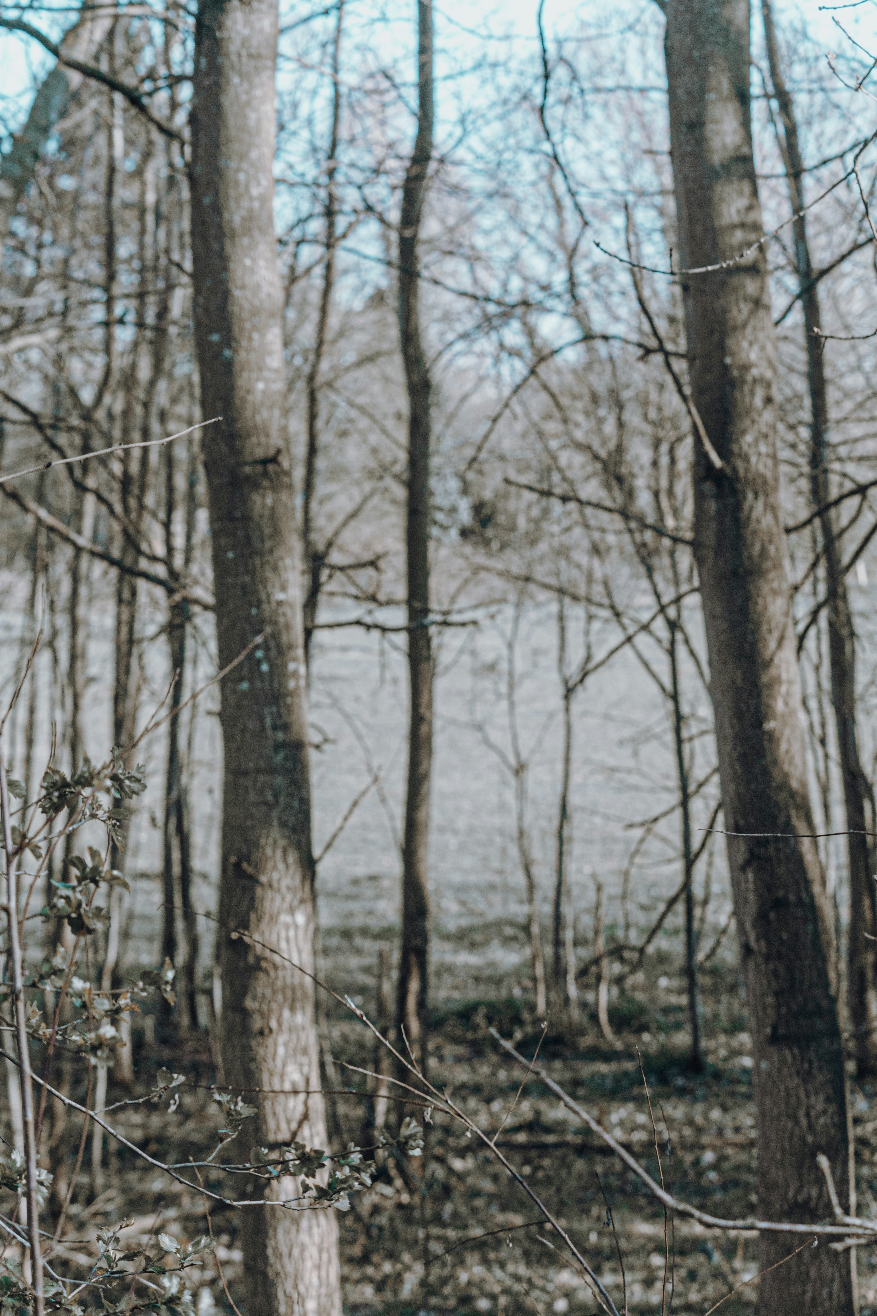 Photo by katharina_bill