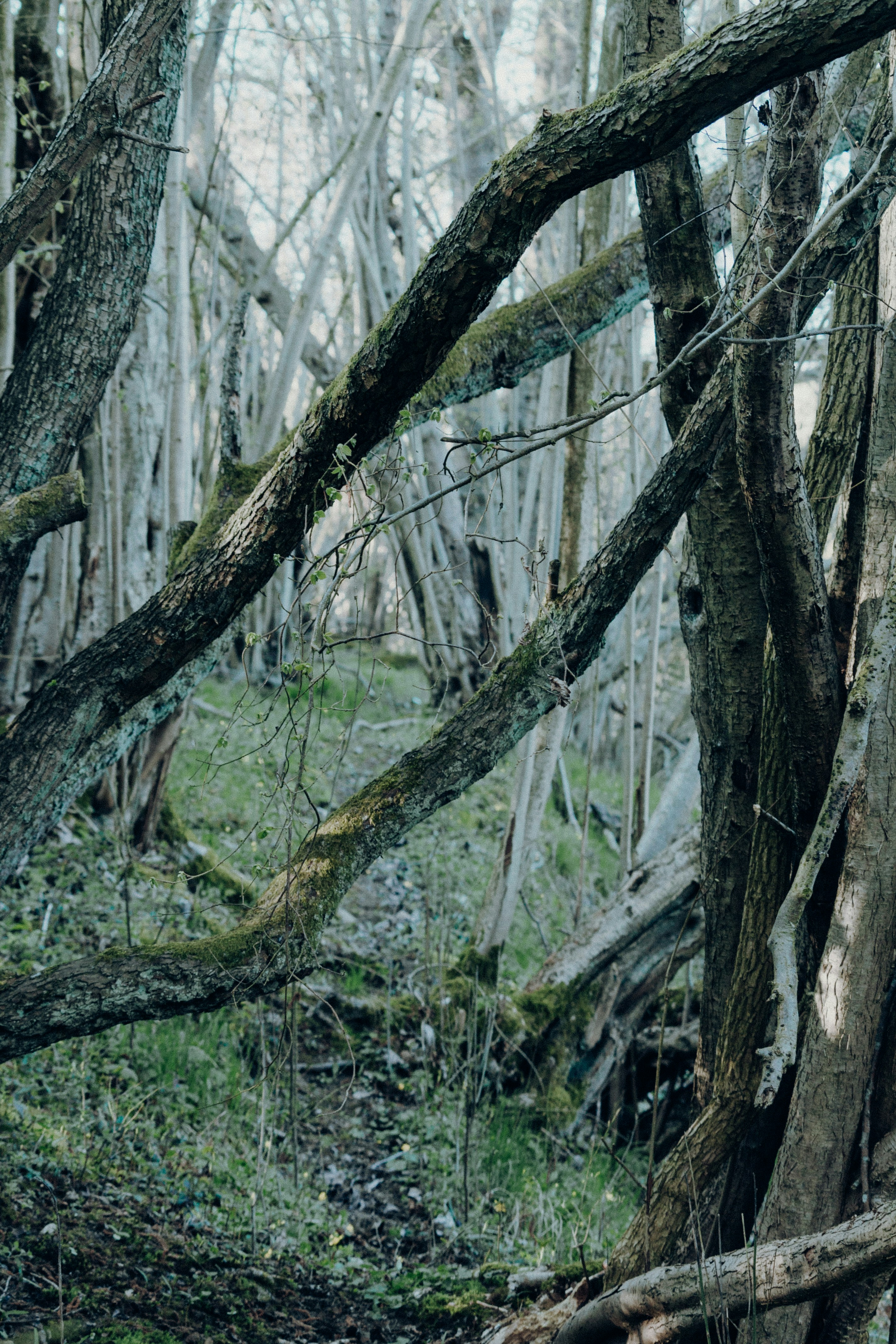 Photo by katharina_bill