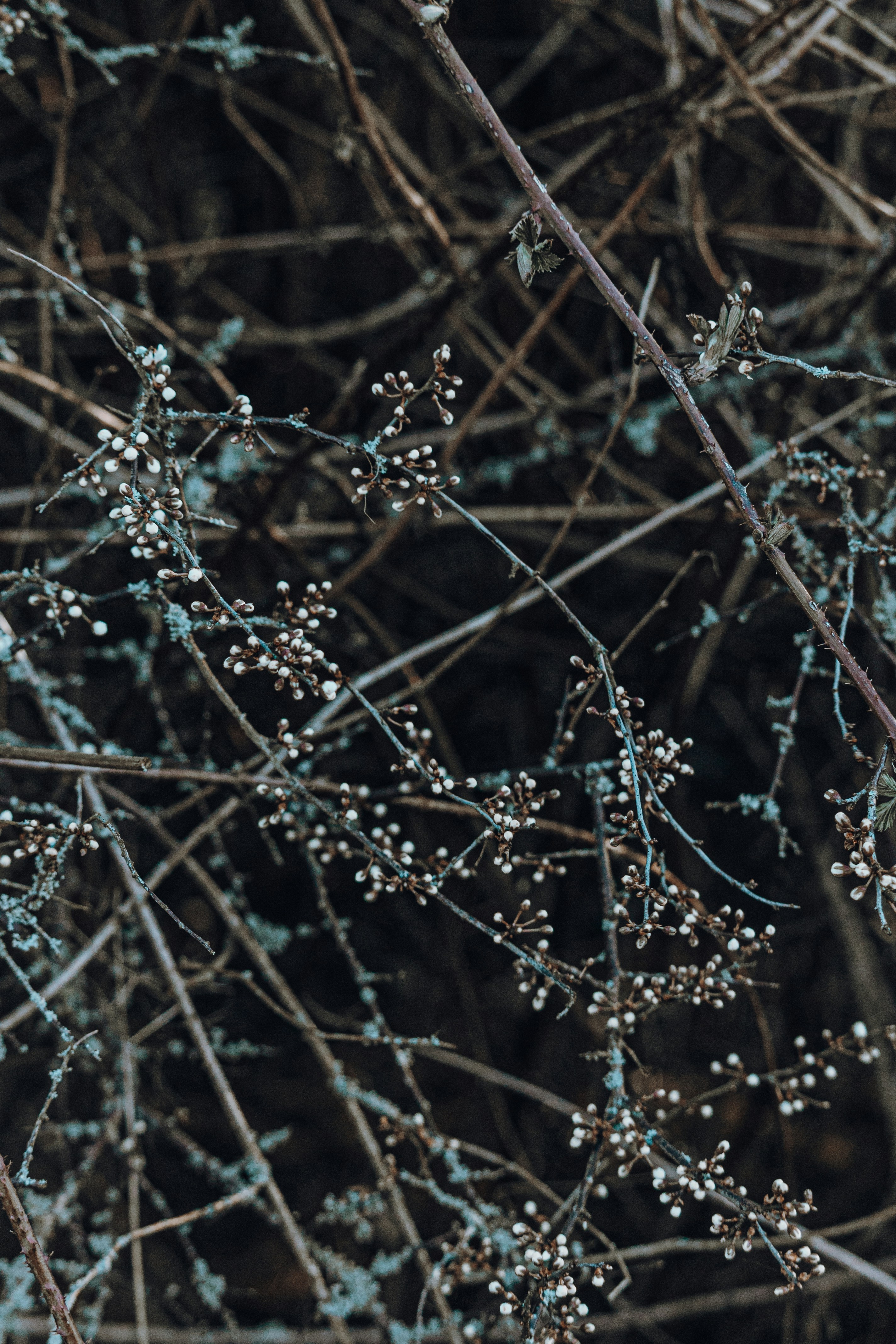 Photo by katharina_bill