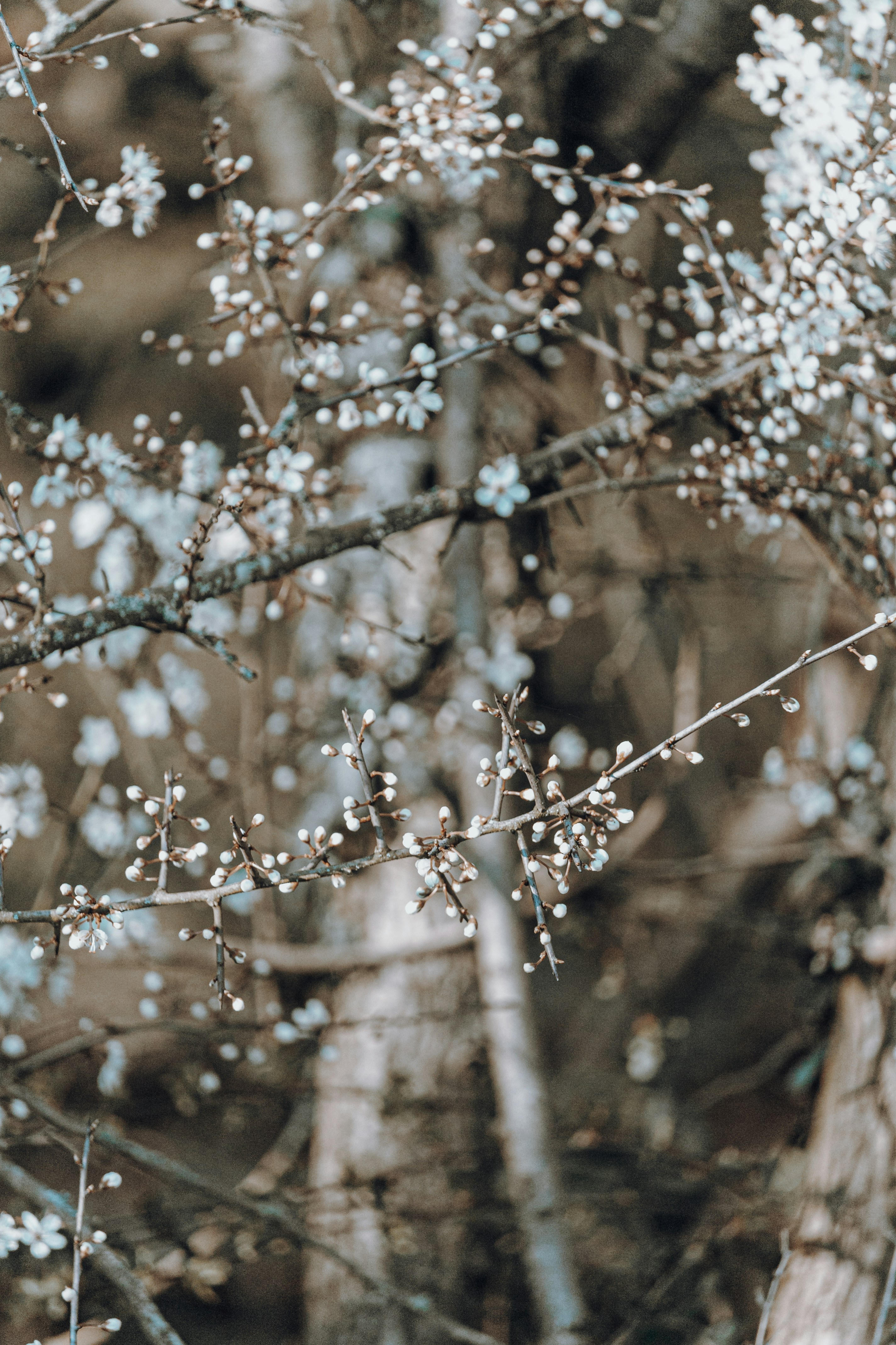 Photo by katharina_bill