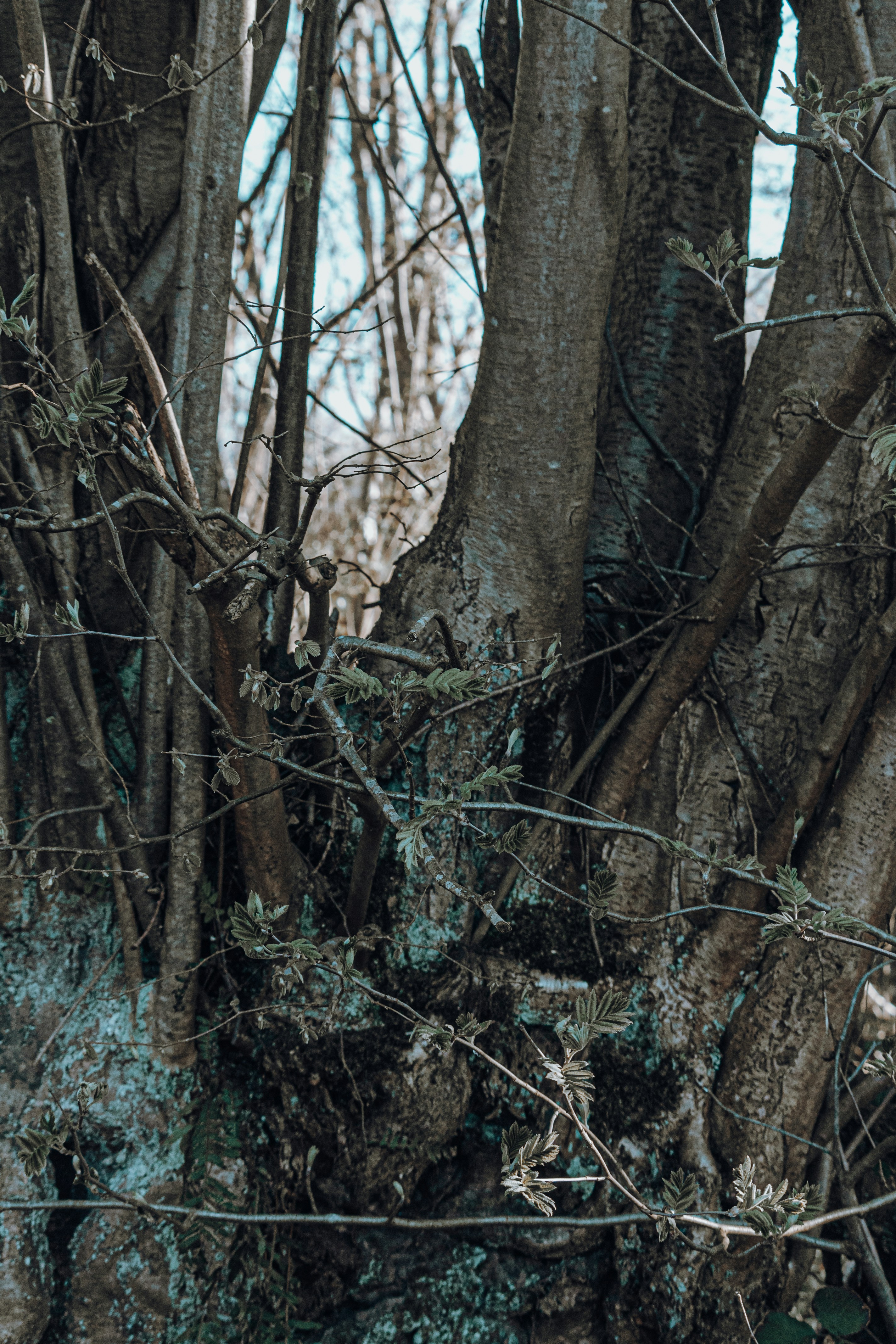 Photo by katharina_bill