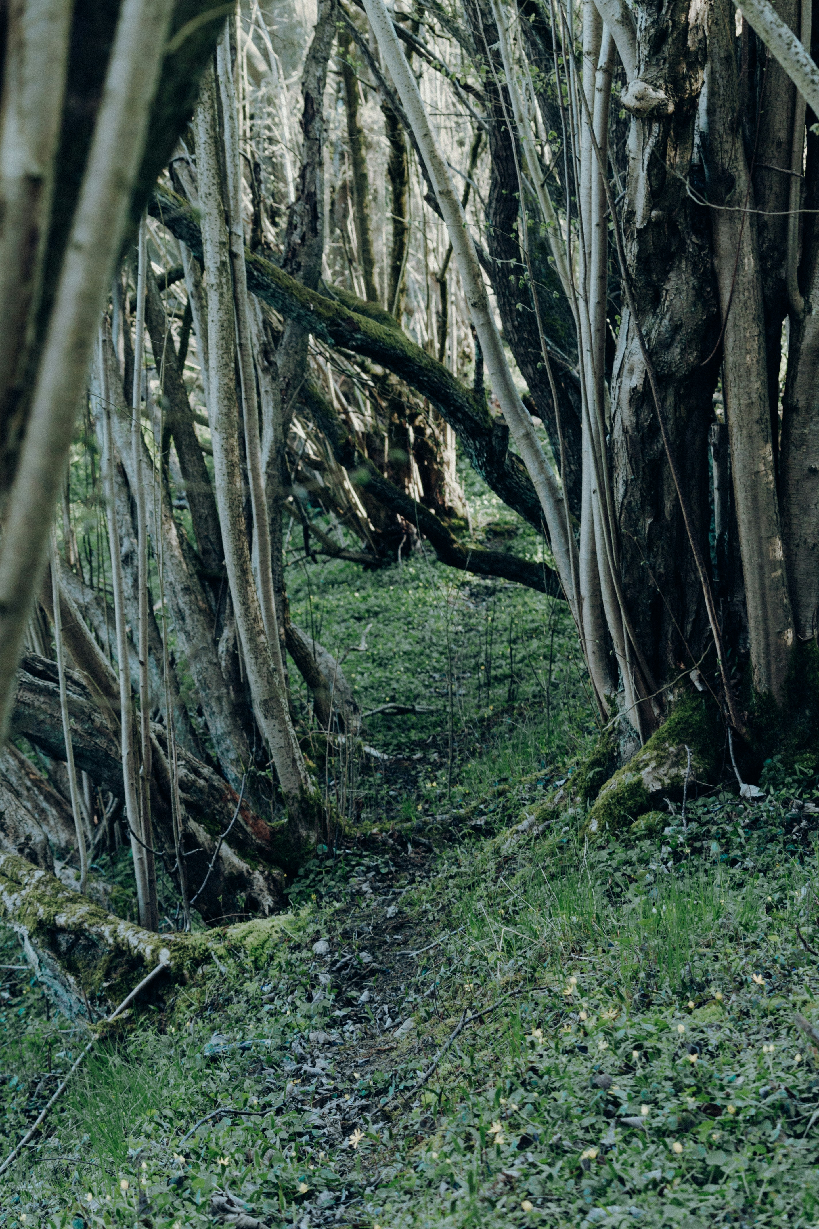 Photo by katharina_bill