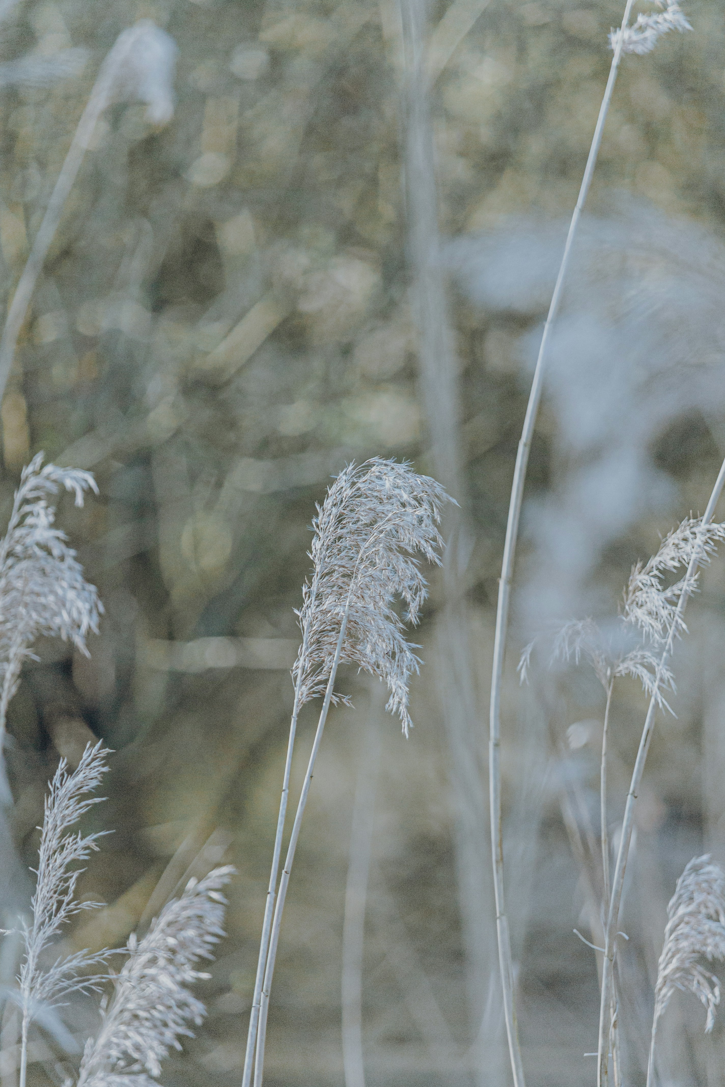 Photo by katharina_bill