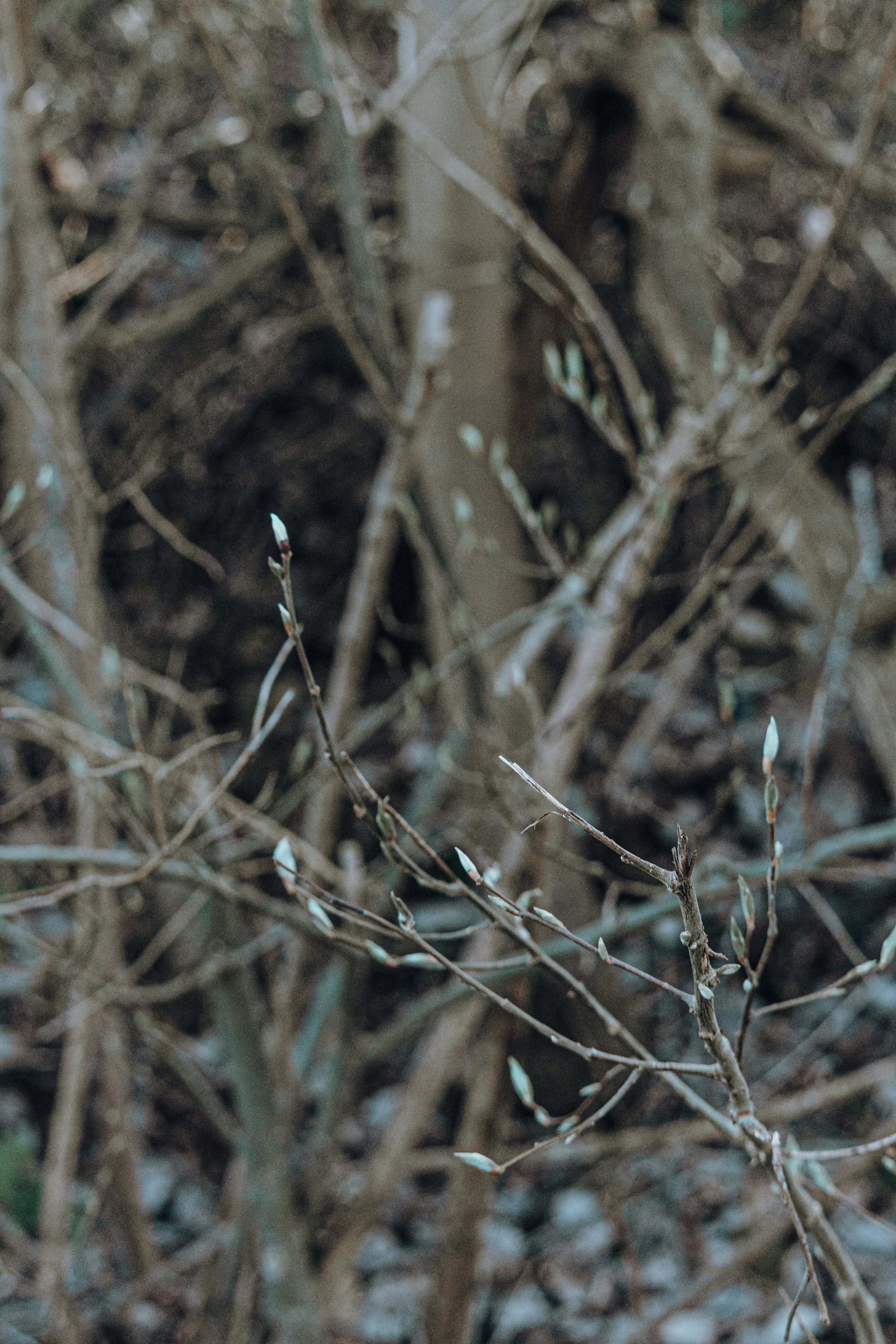 Photo by katharina_bill