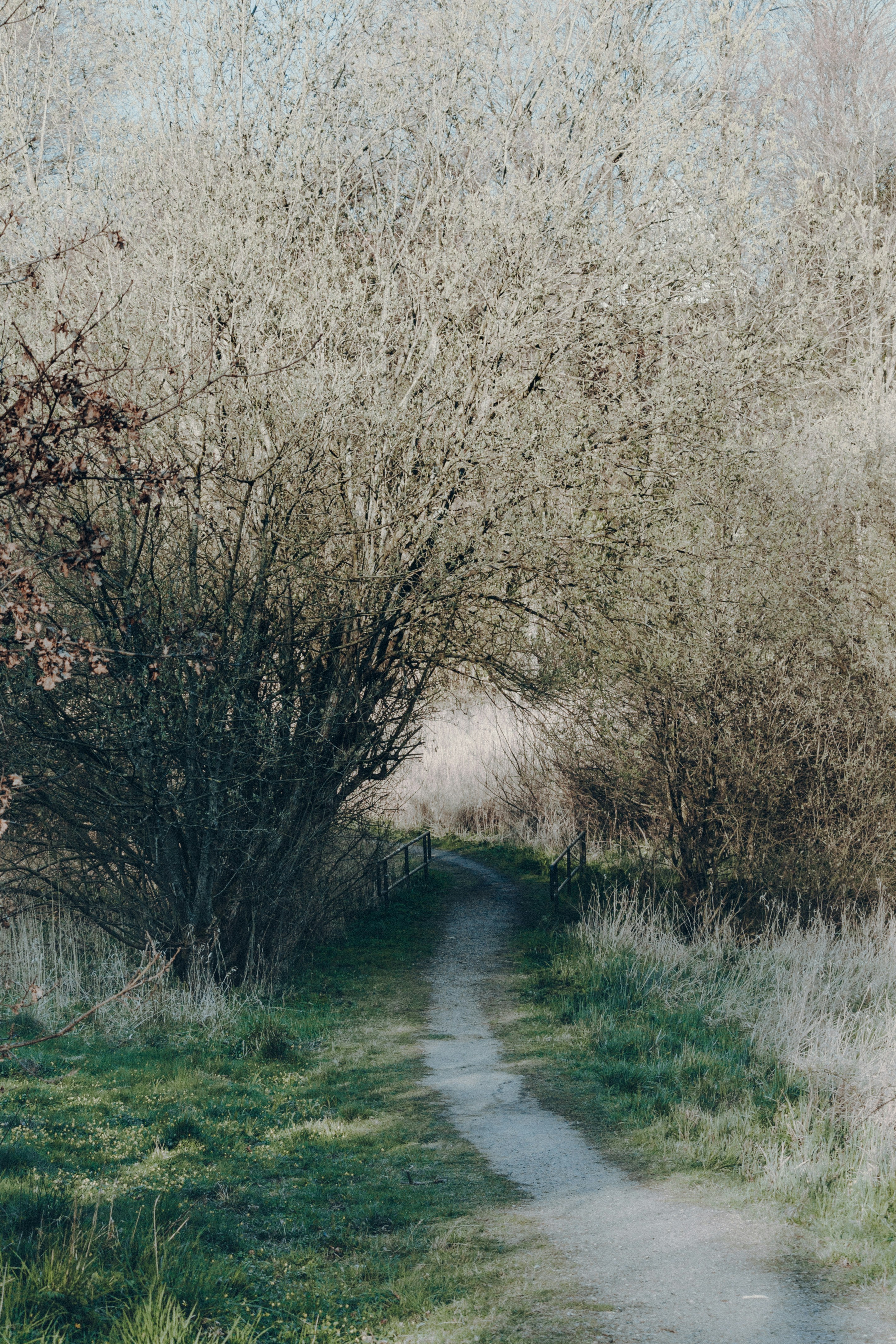 Photo by katharina_bill