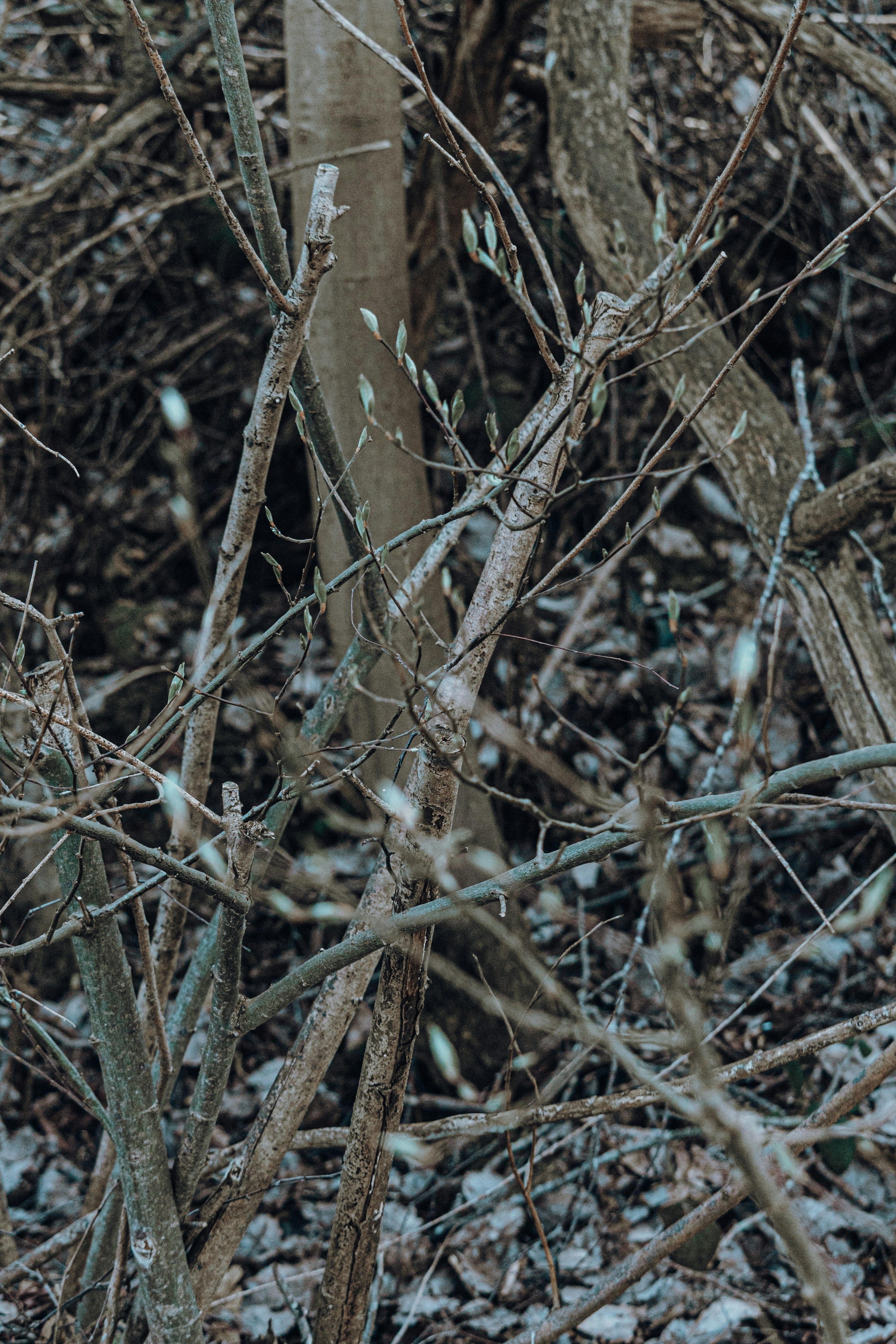 Photo by katharina_bill