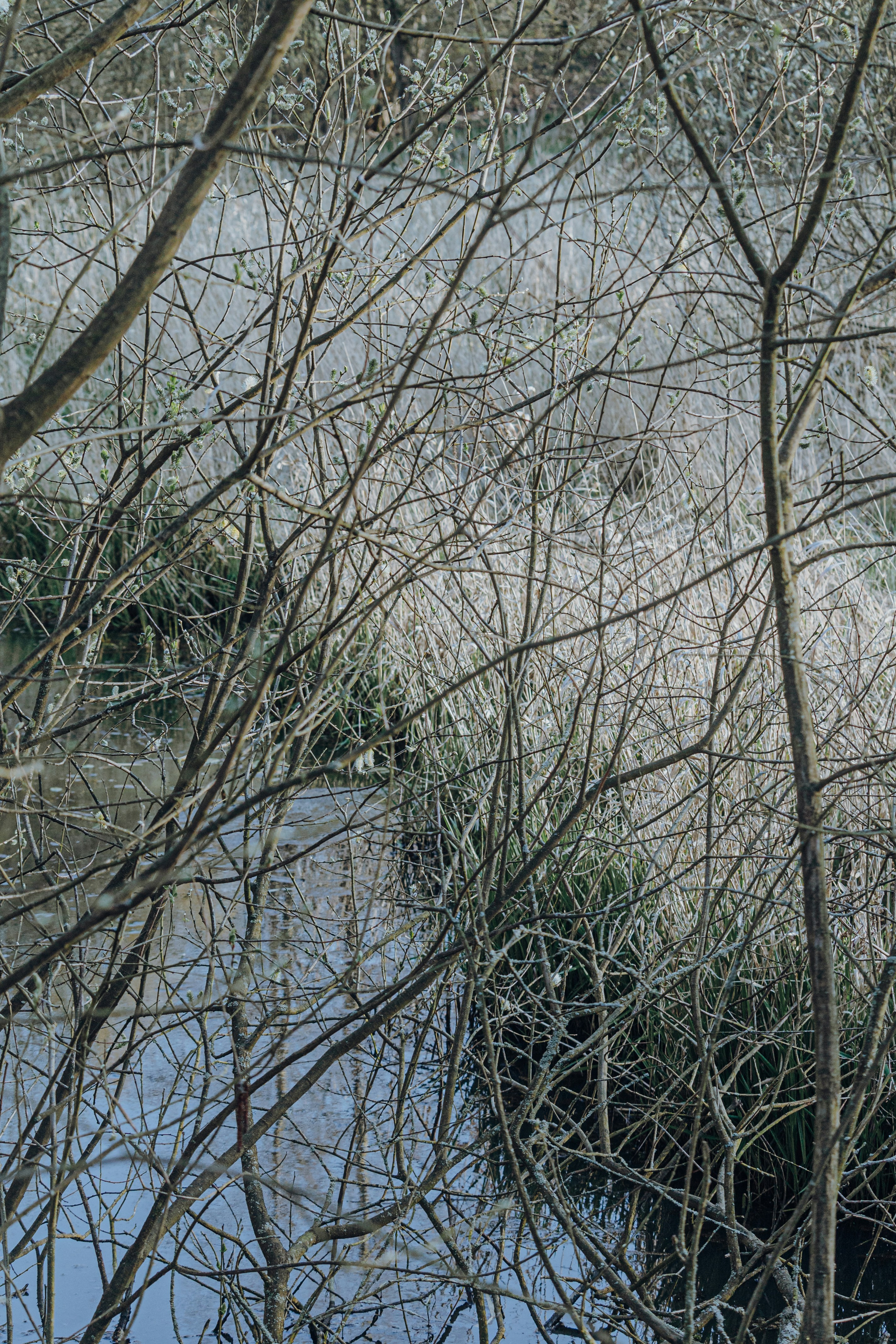 Photo by katharina_bill