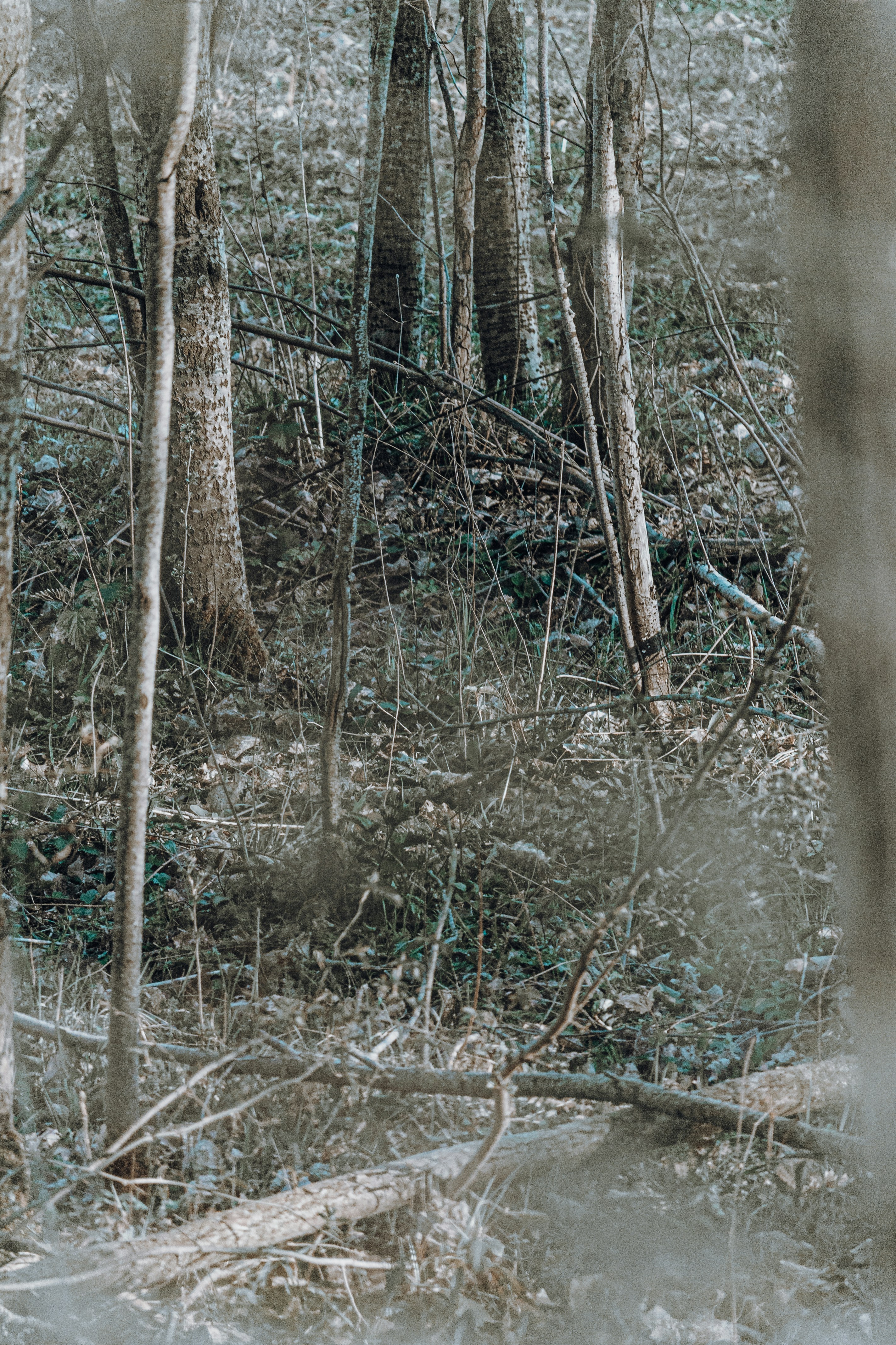 Photo by katharina_bill