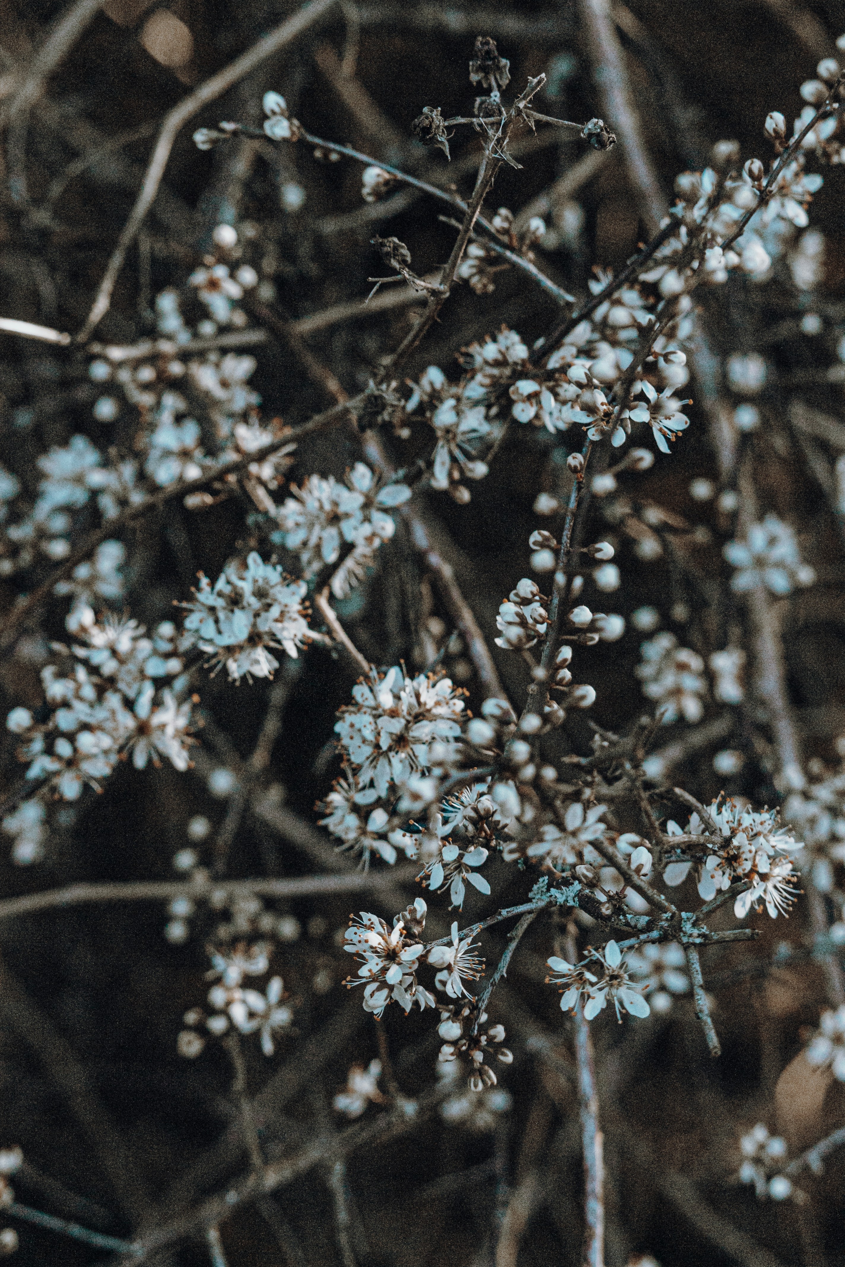 Photo by katharina_bill