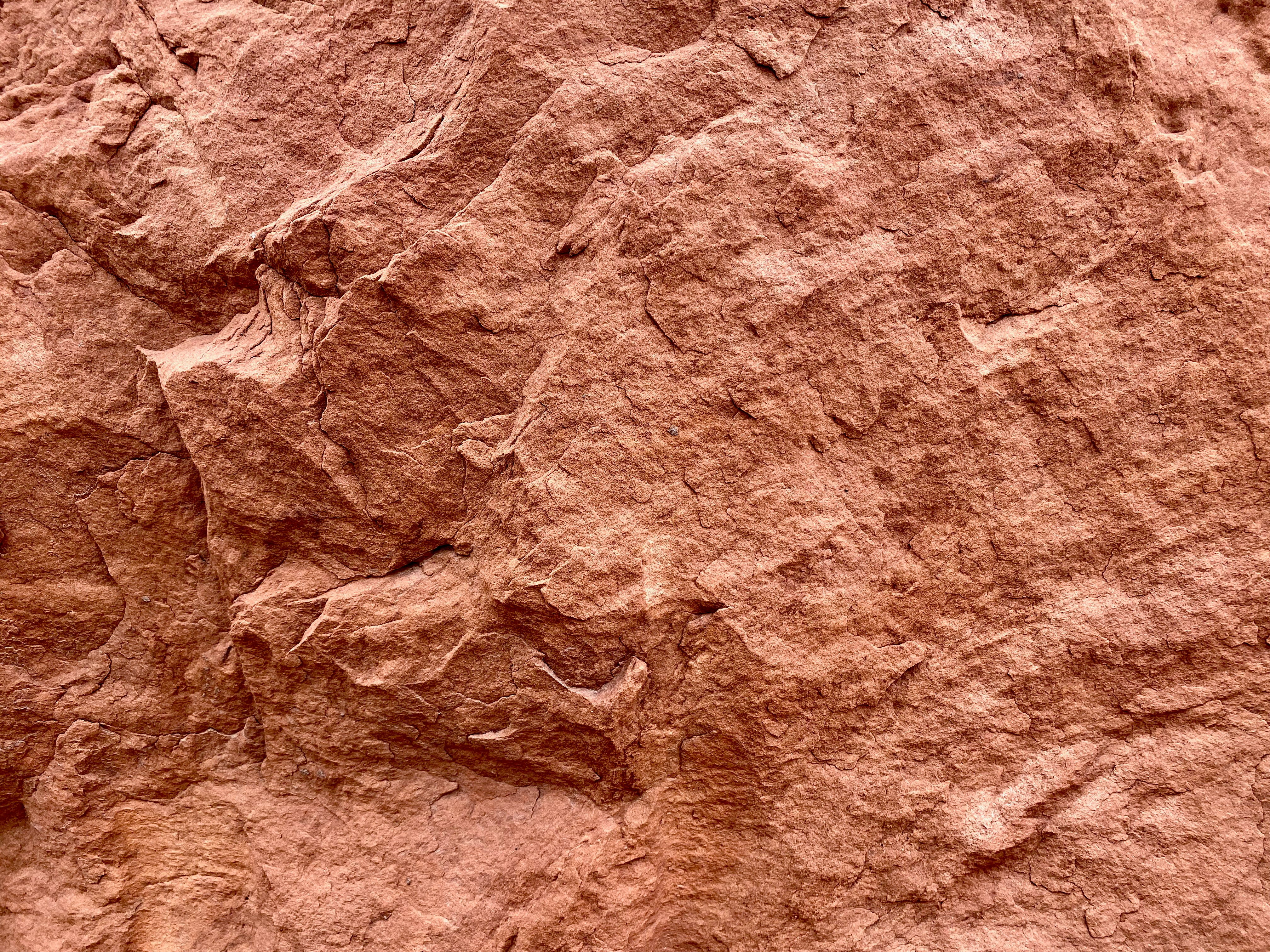 a close up view of a rock face, The canyon walls of a hiking trail in St Georges, Utah.