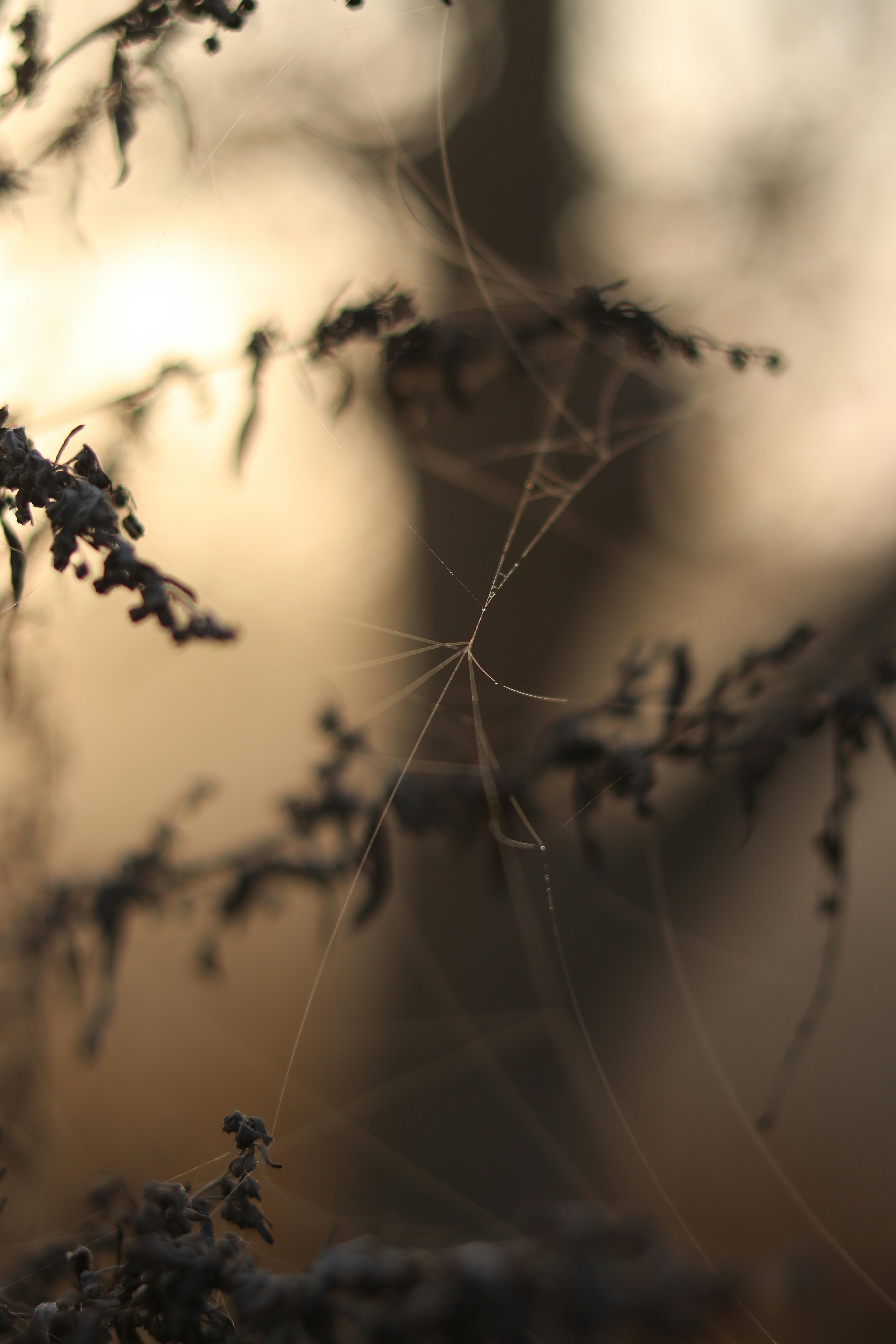 Photo by reloadworld4dreamers