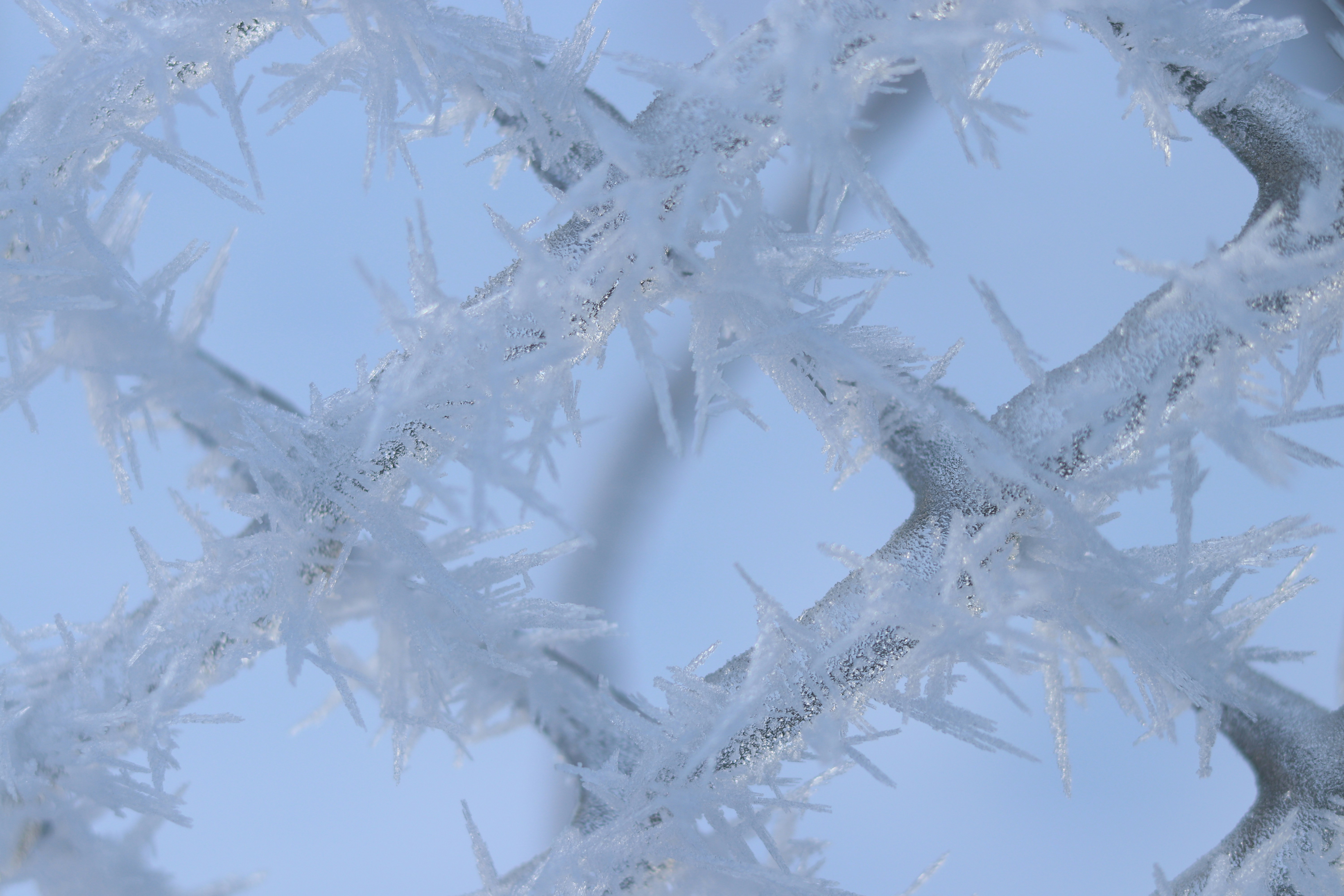 Olaf, le robot Disney qui révolutionne les parcs d'attractions