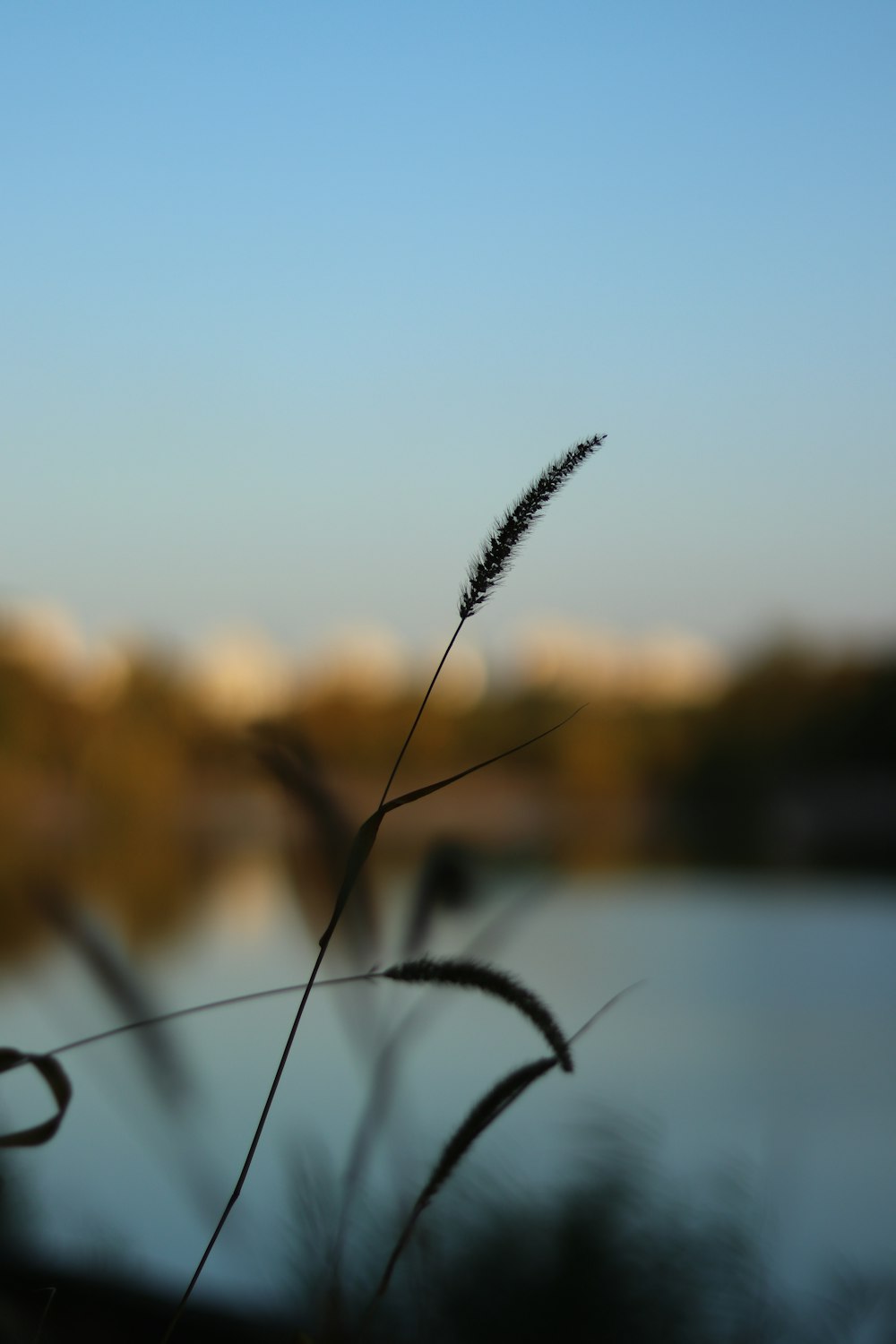 a view of a body of water with a sky in the background