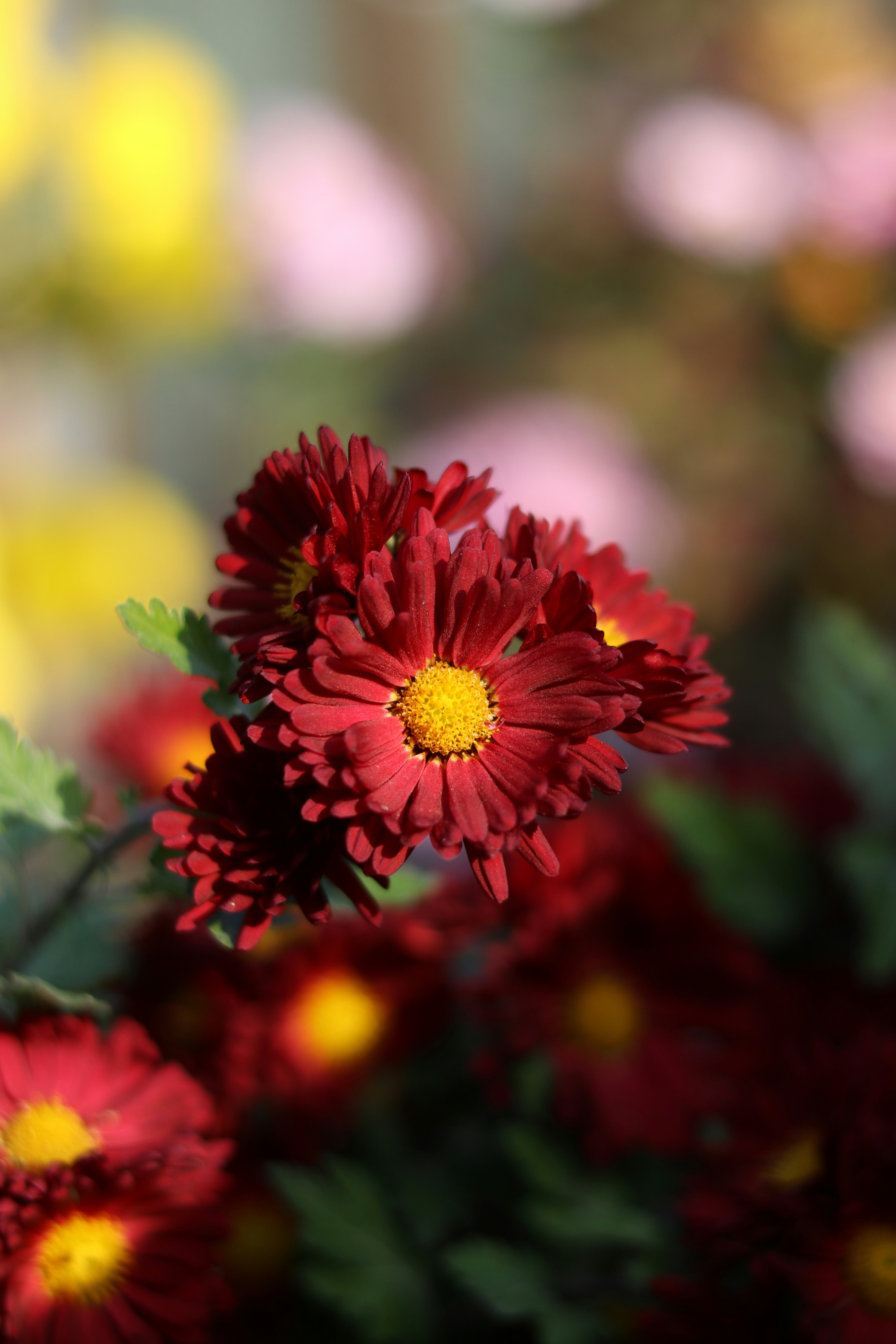 Photo by reloadworld4dreamers