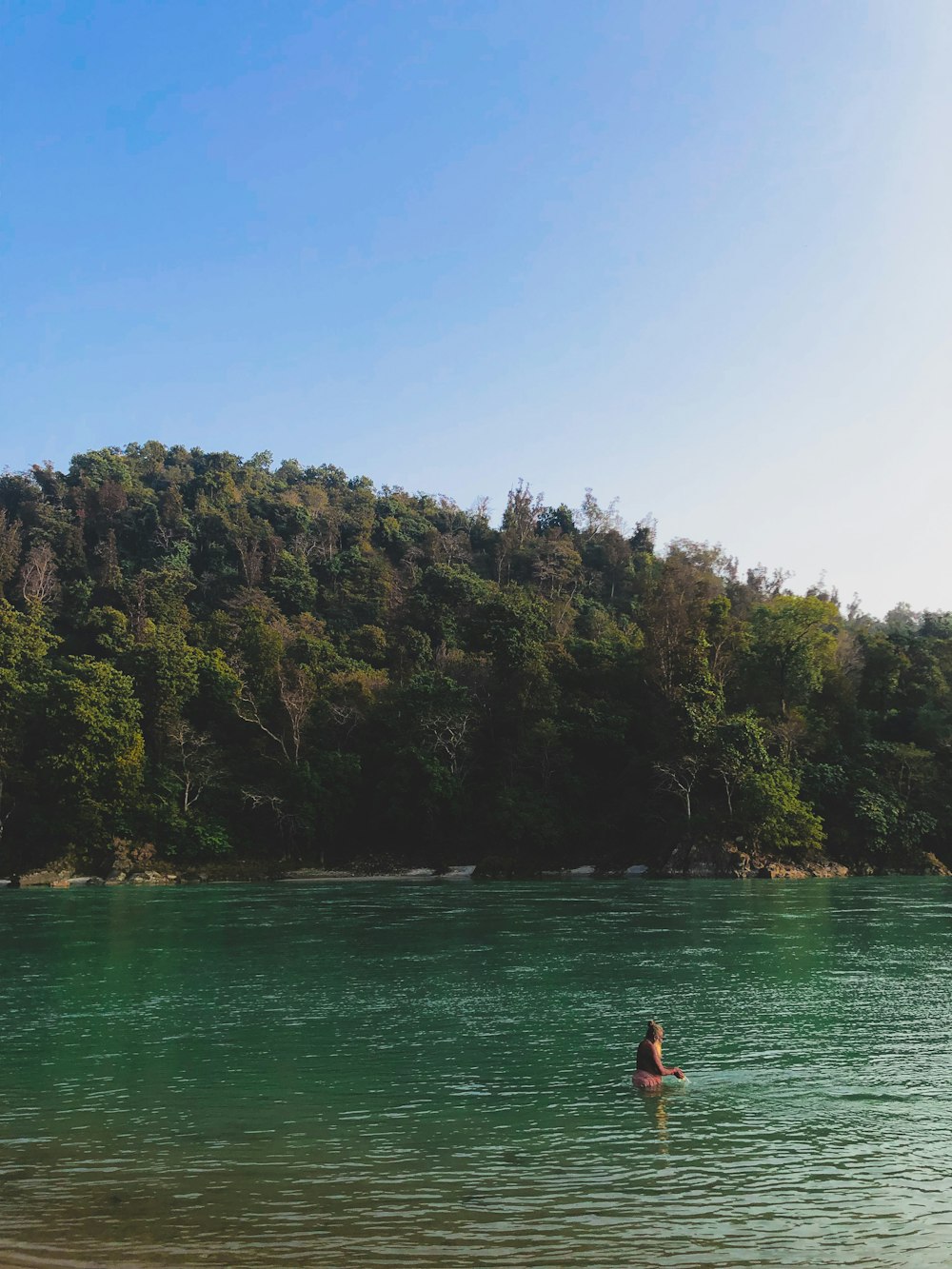 a person in a body of water with trees in the background