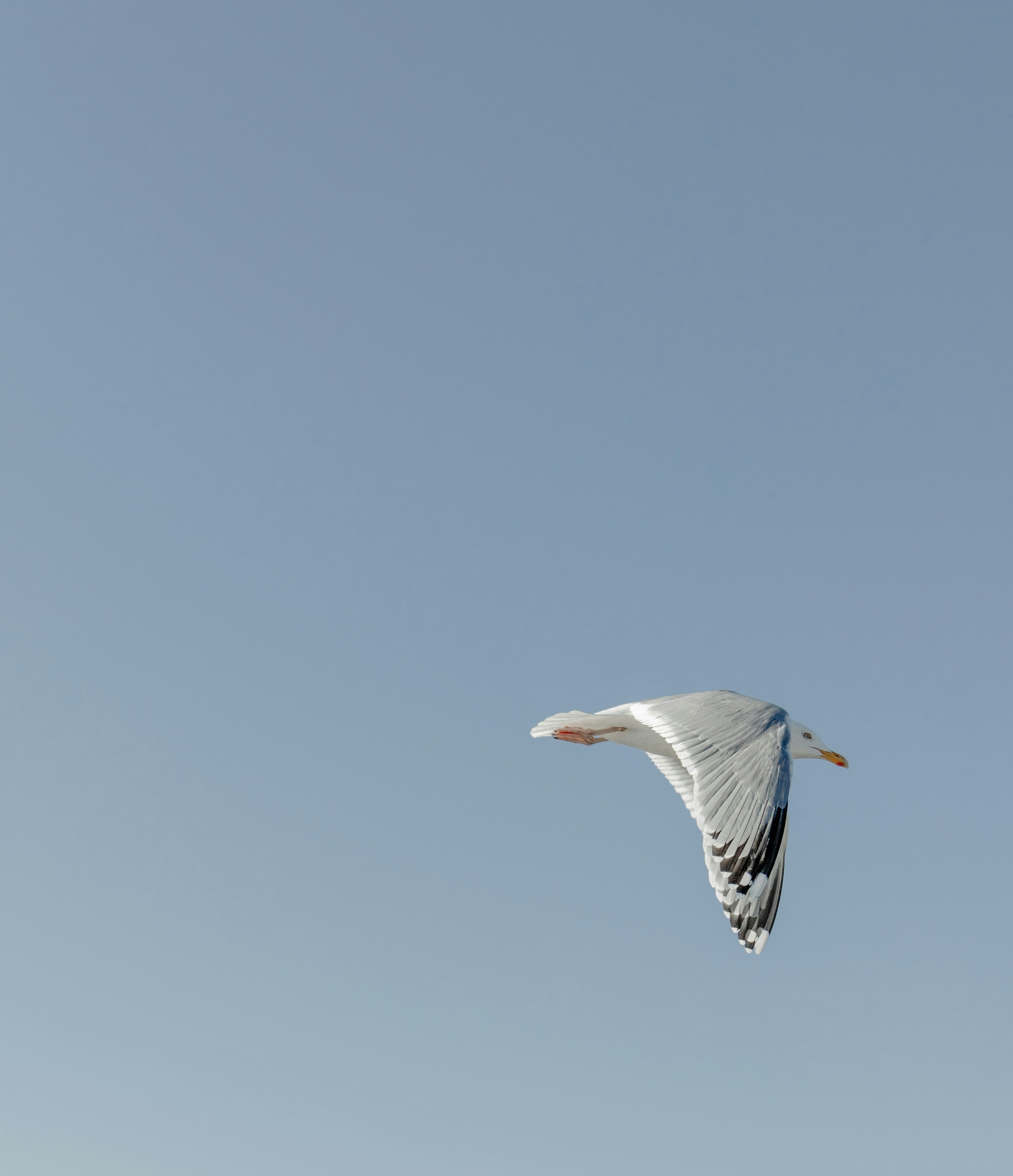 Photo by katharina_bill