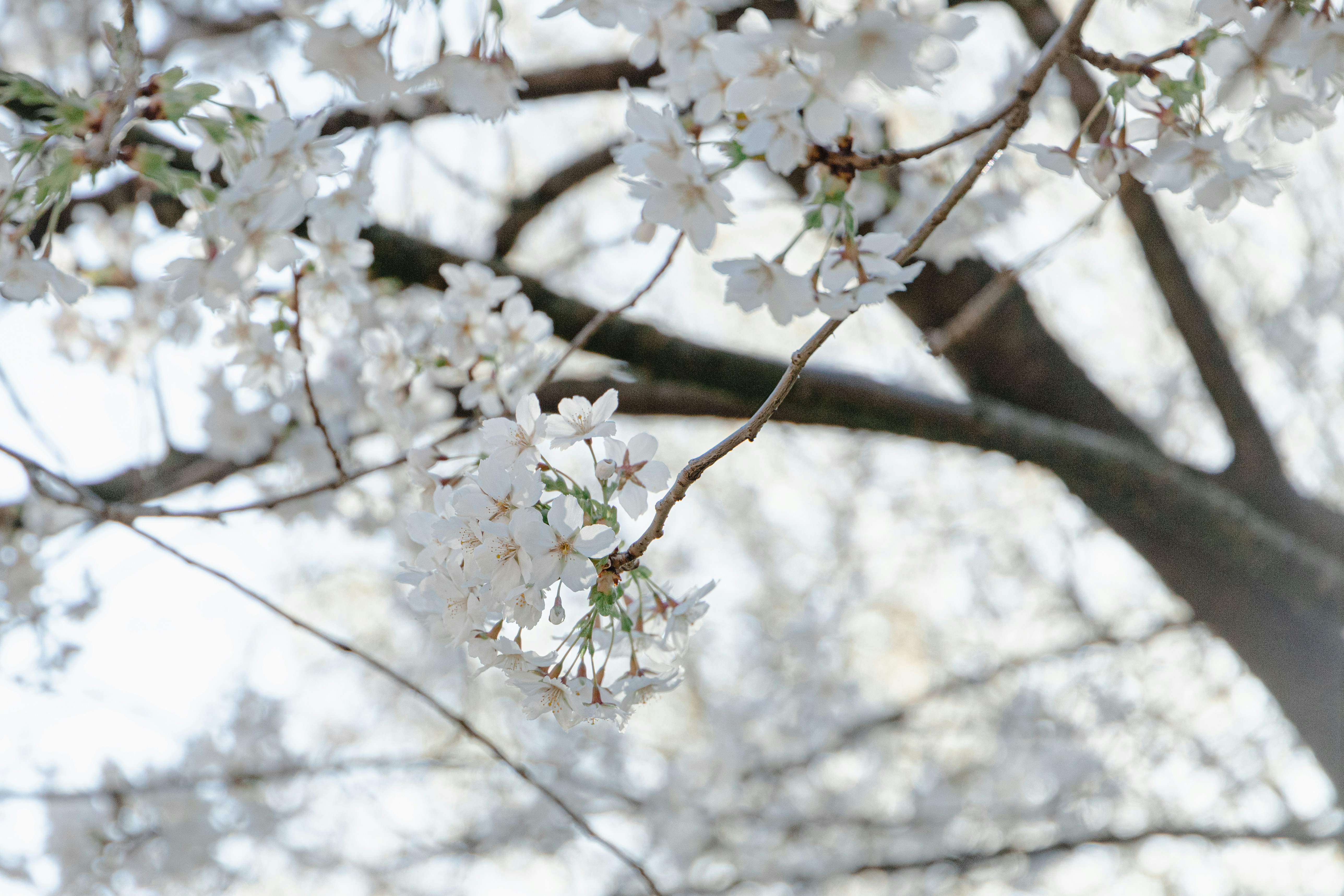 Photo by katharina_bill