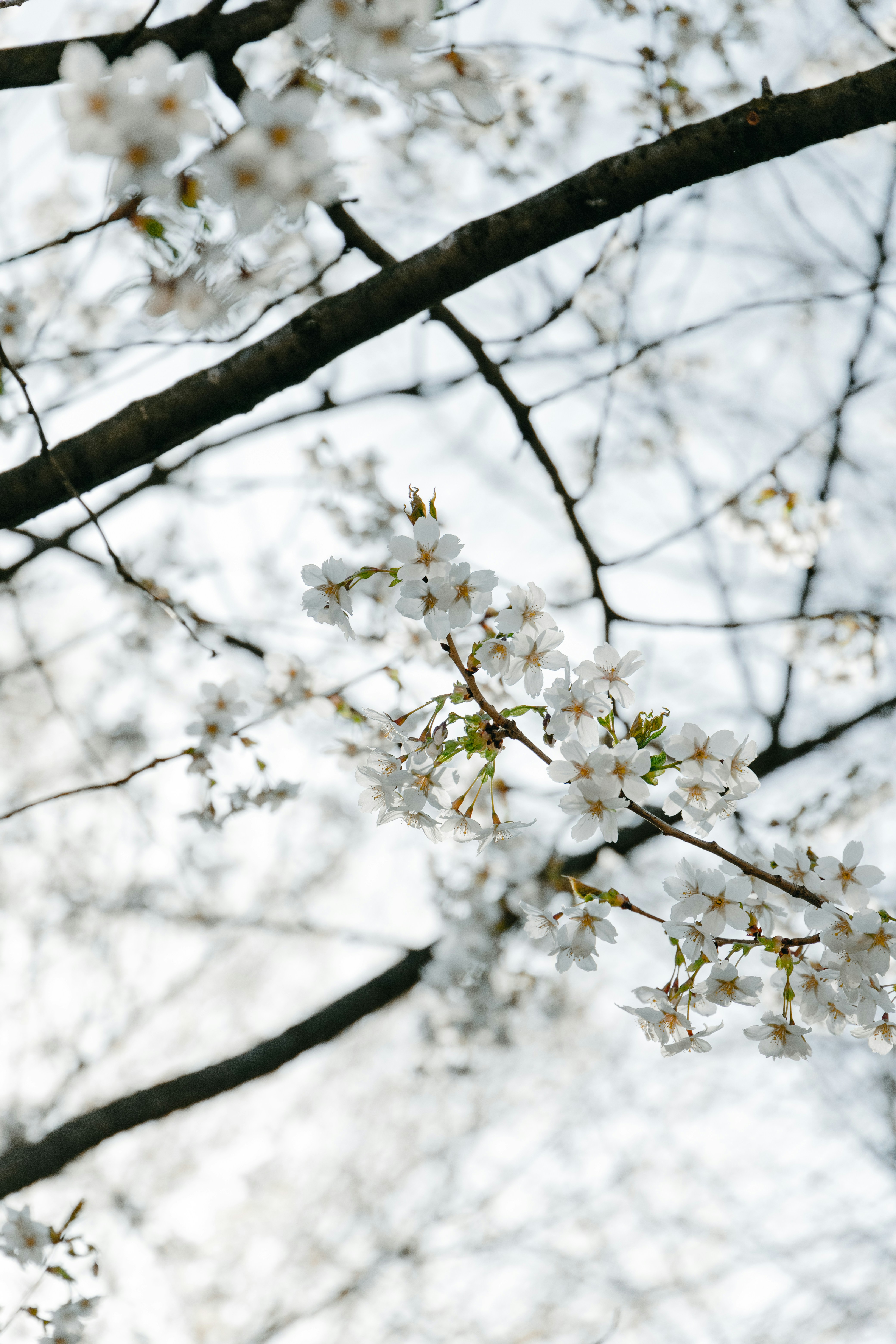 Photo by katharina_bill