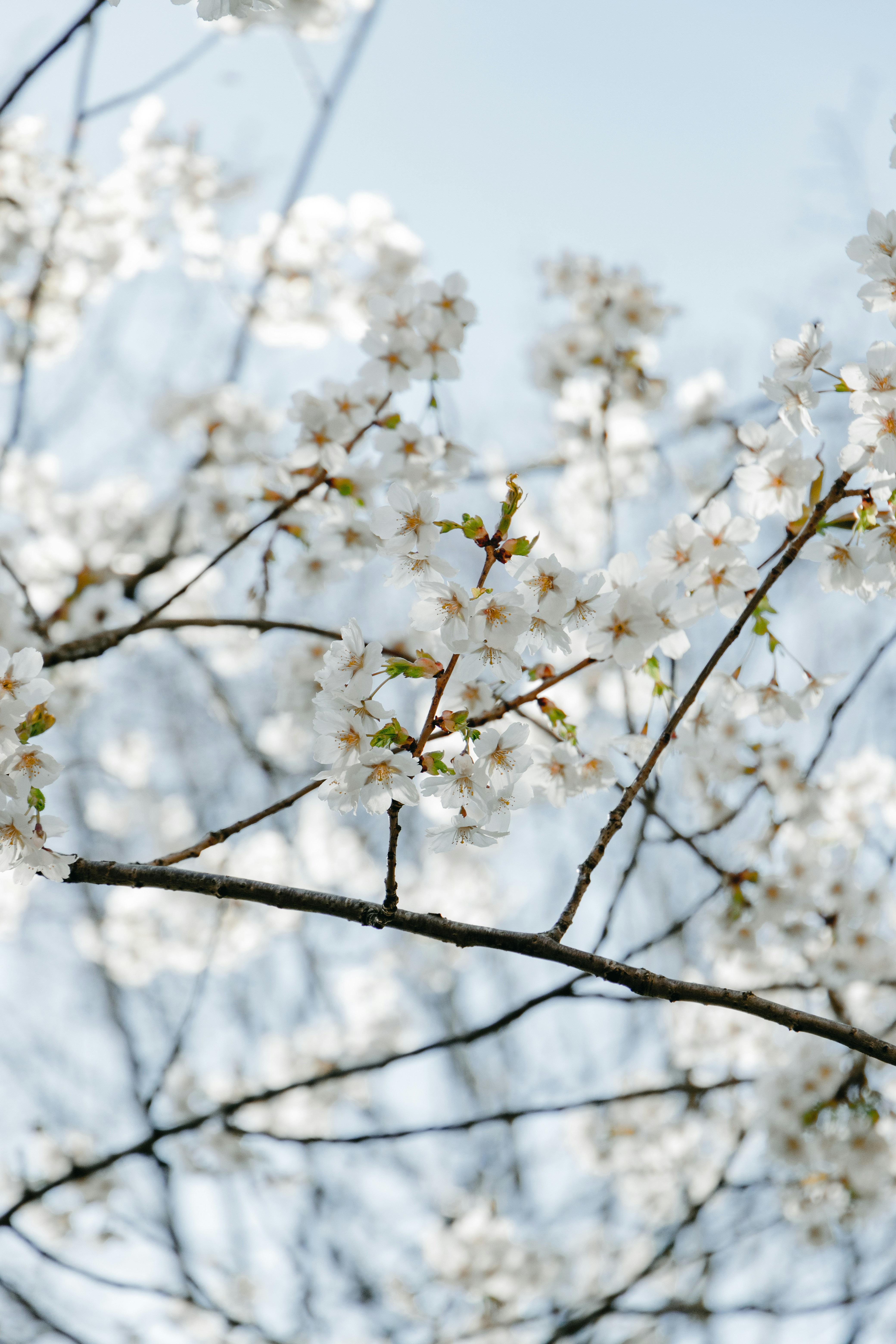 Photo by katharina_bill