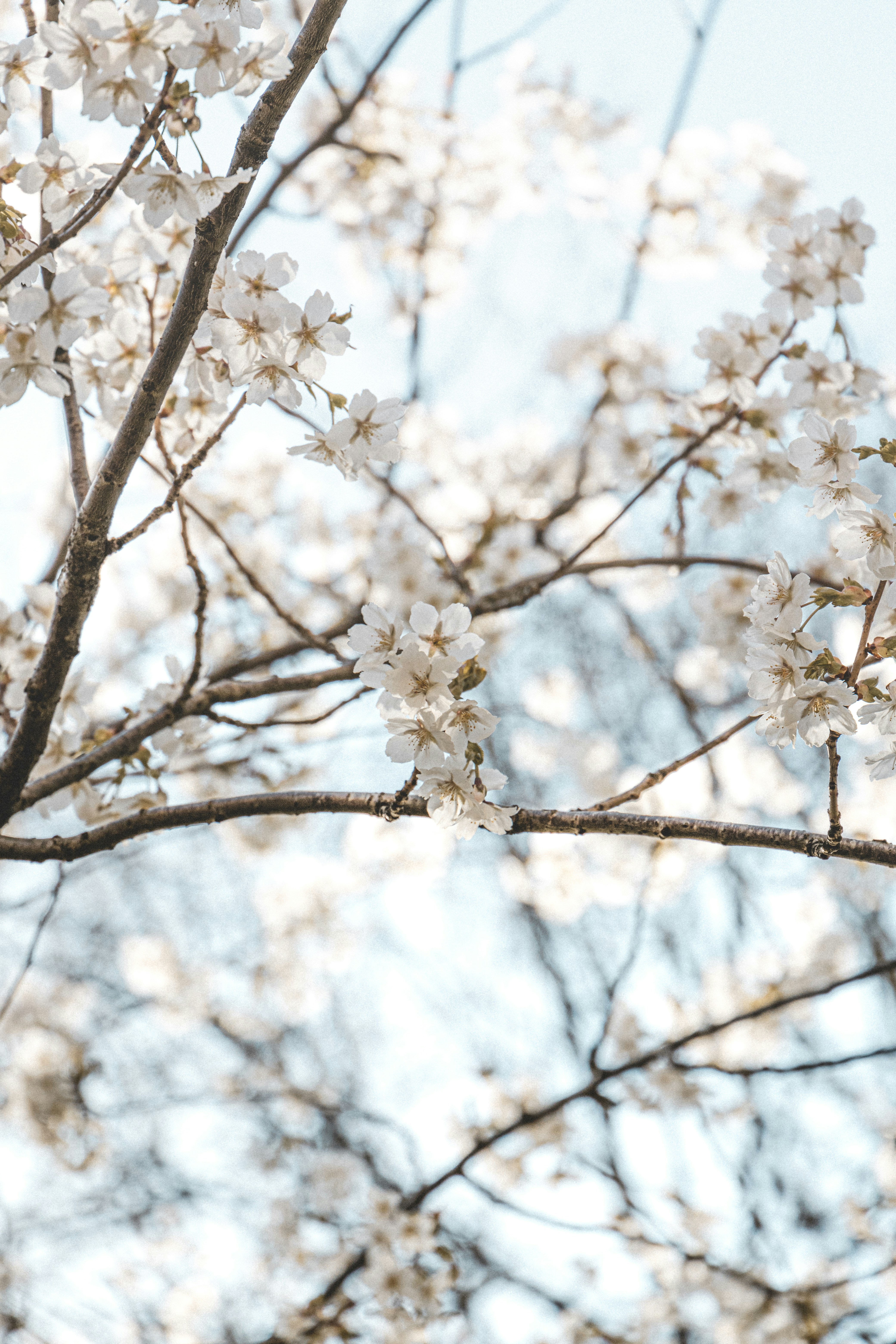 Photo by katharina_bill