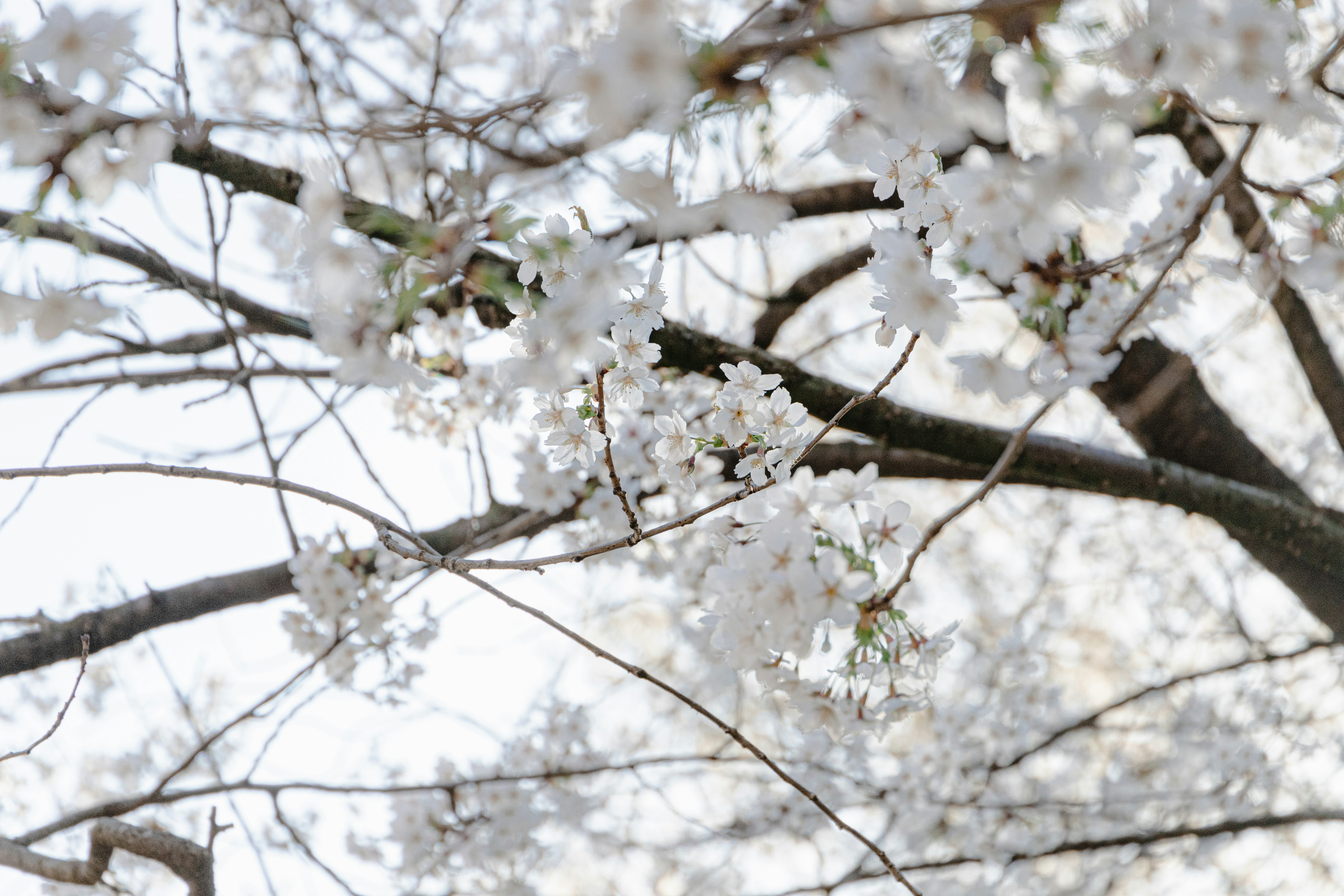 Photo by katharina_bill