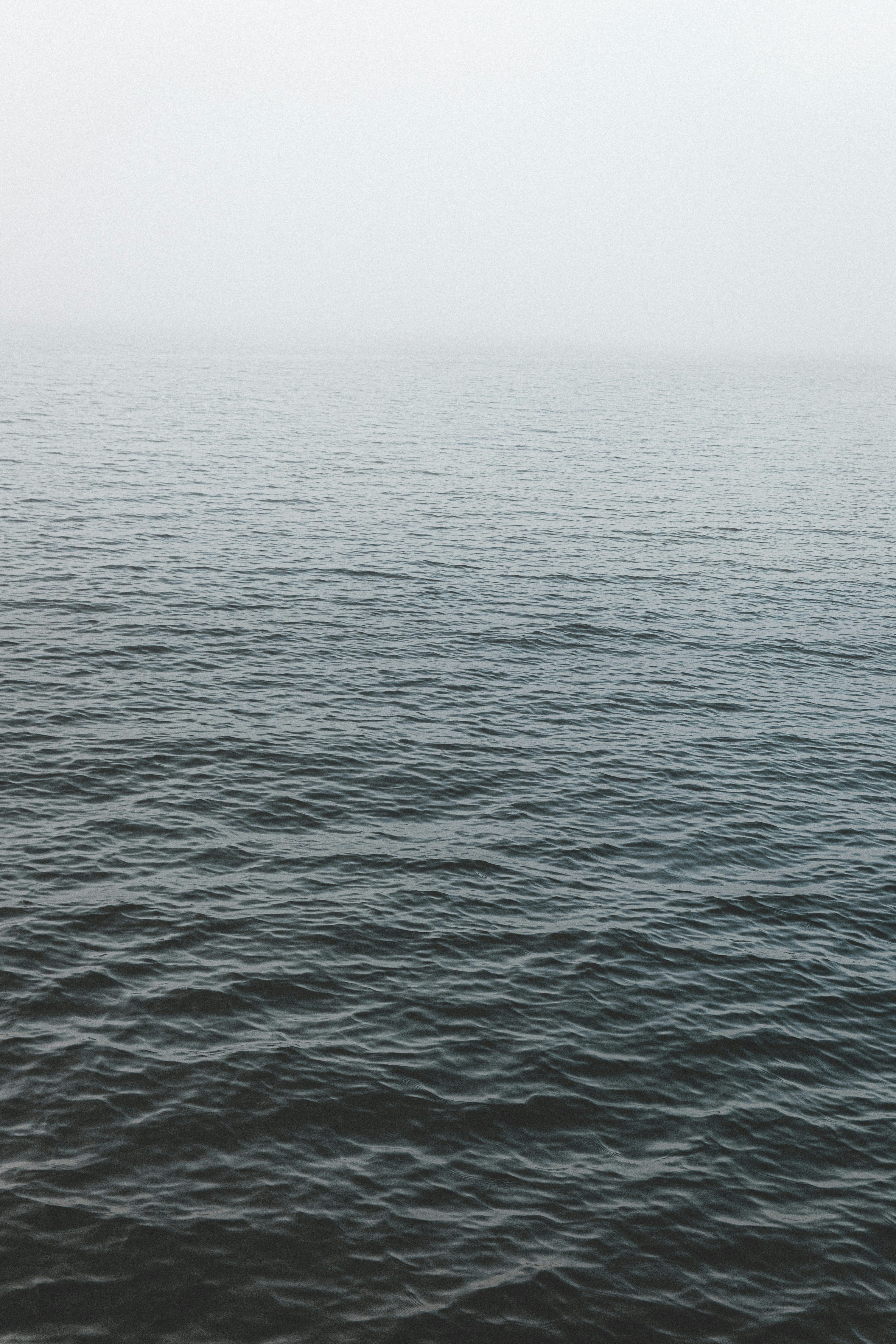 Photo by katharina_bill