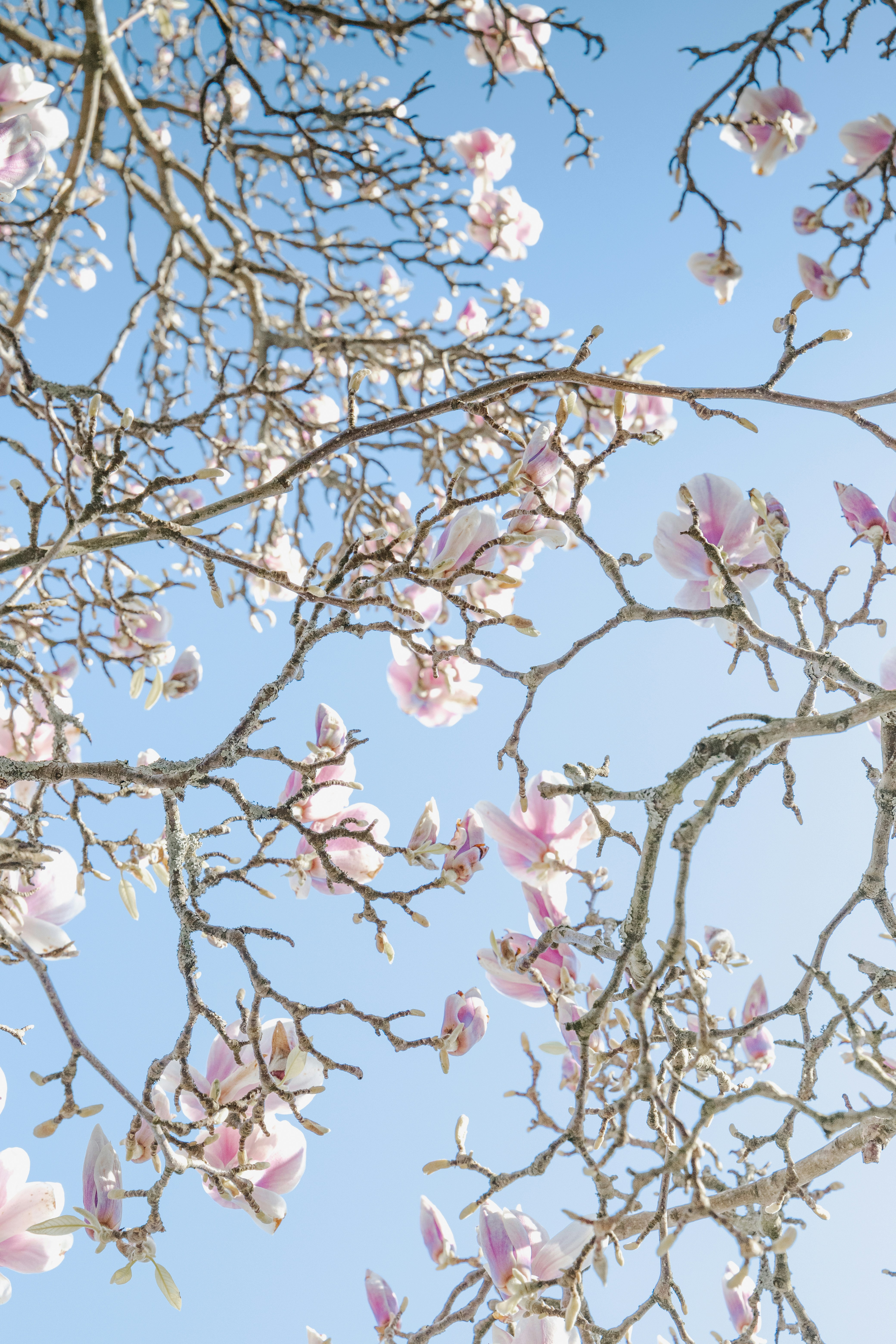 Photo by katharina_bill