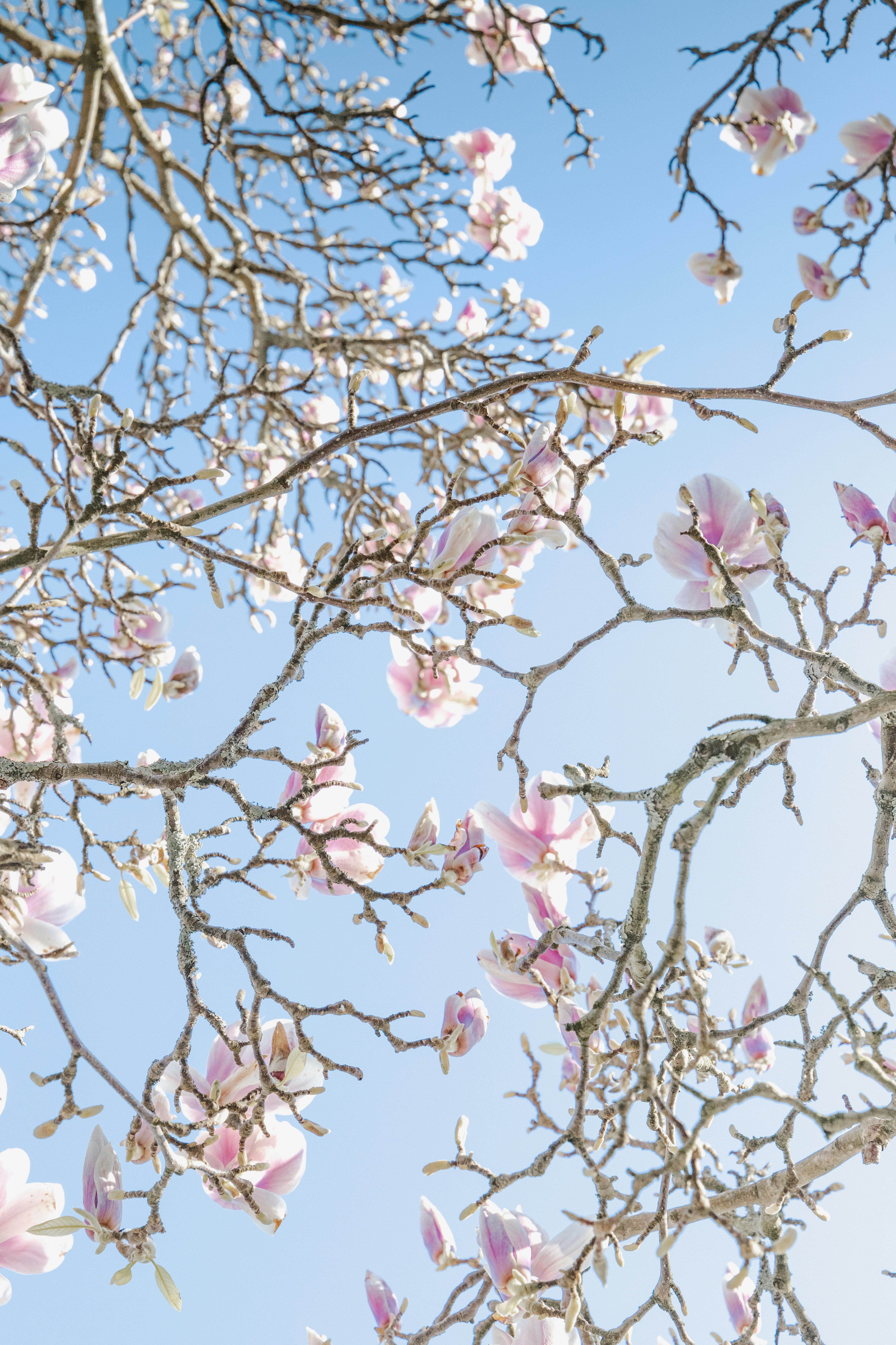 Photo by katharina_bill