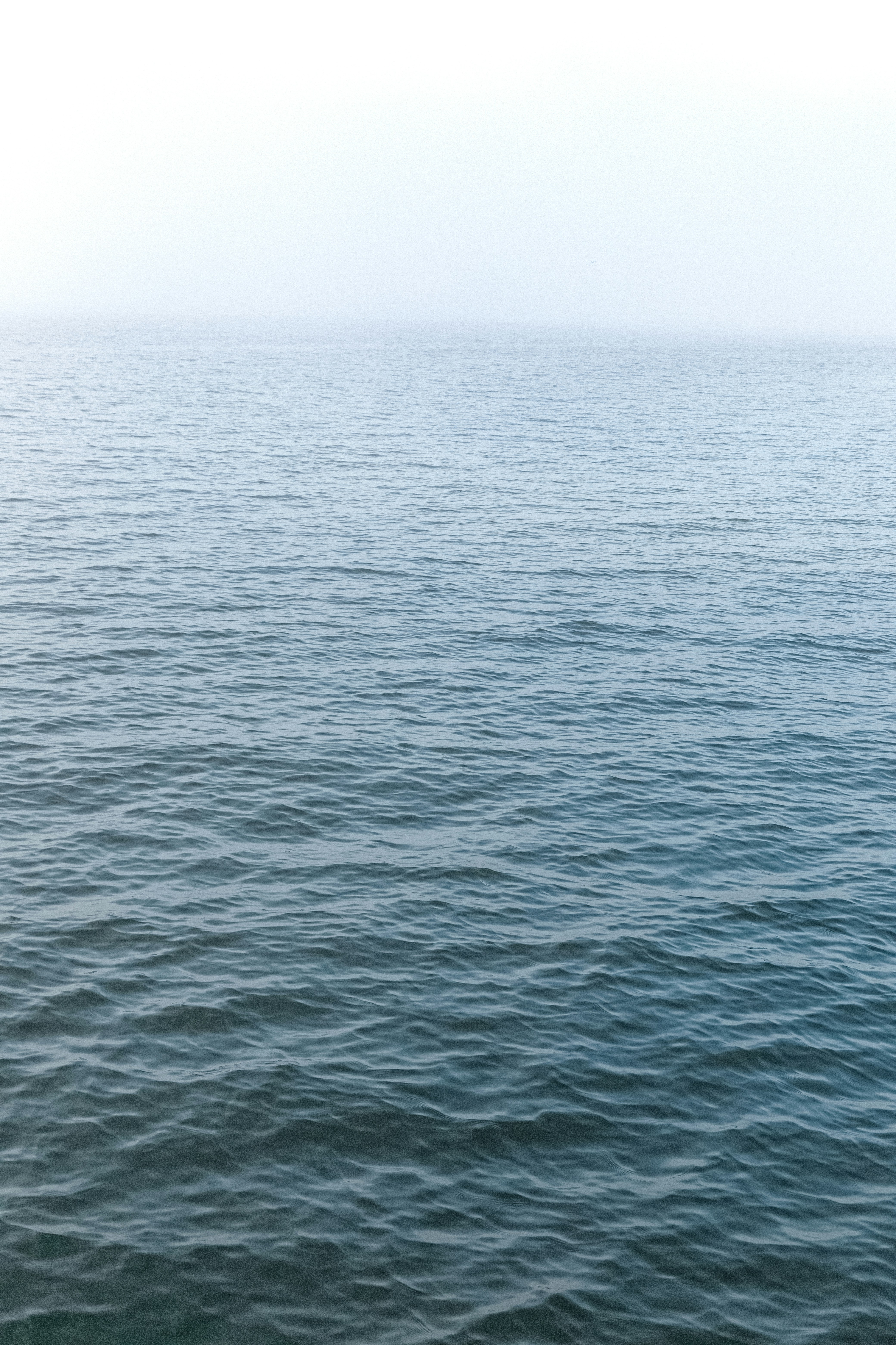 Photo by katharina_bill