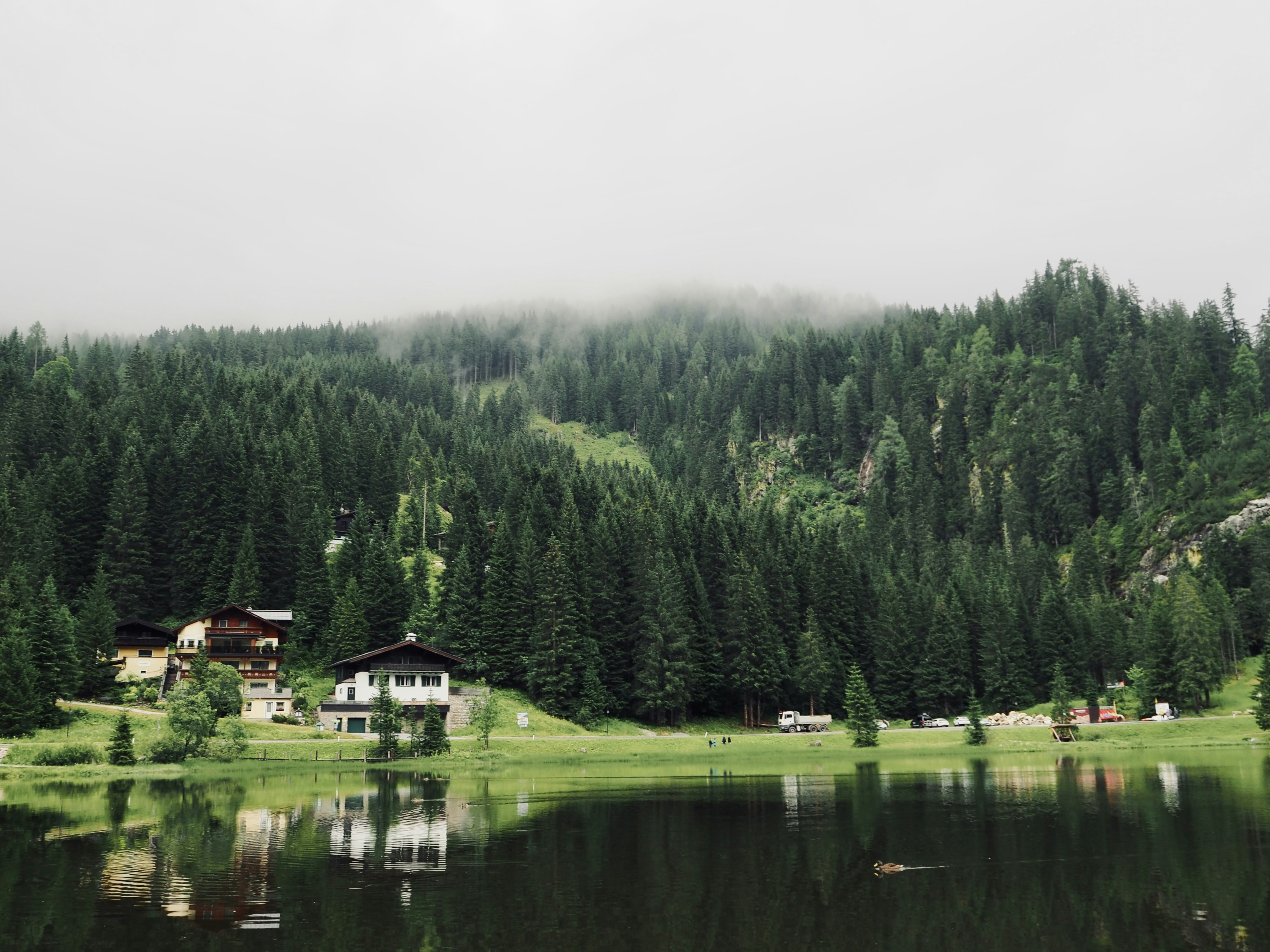 Photo by caroline_2603