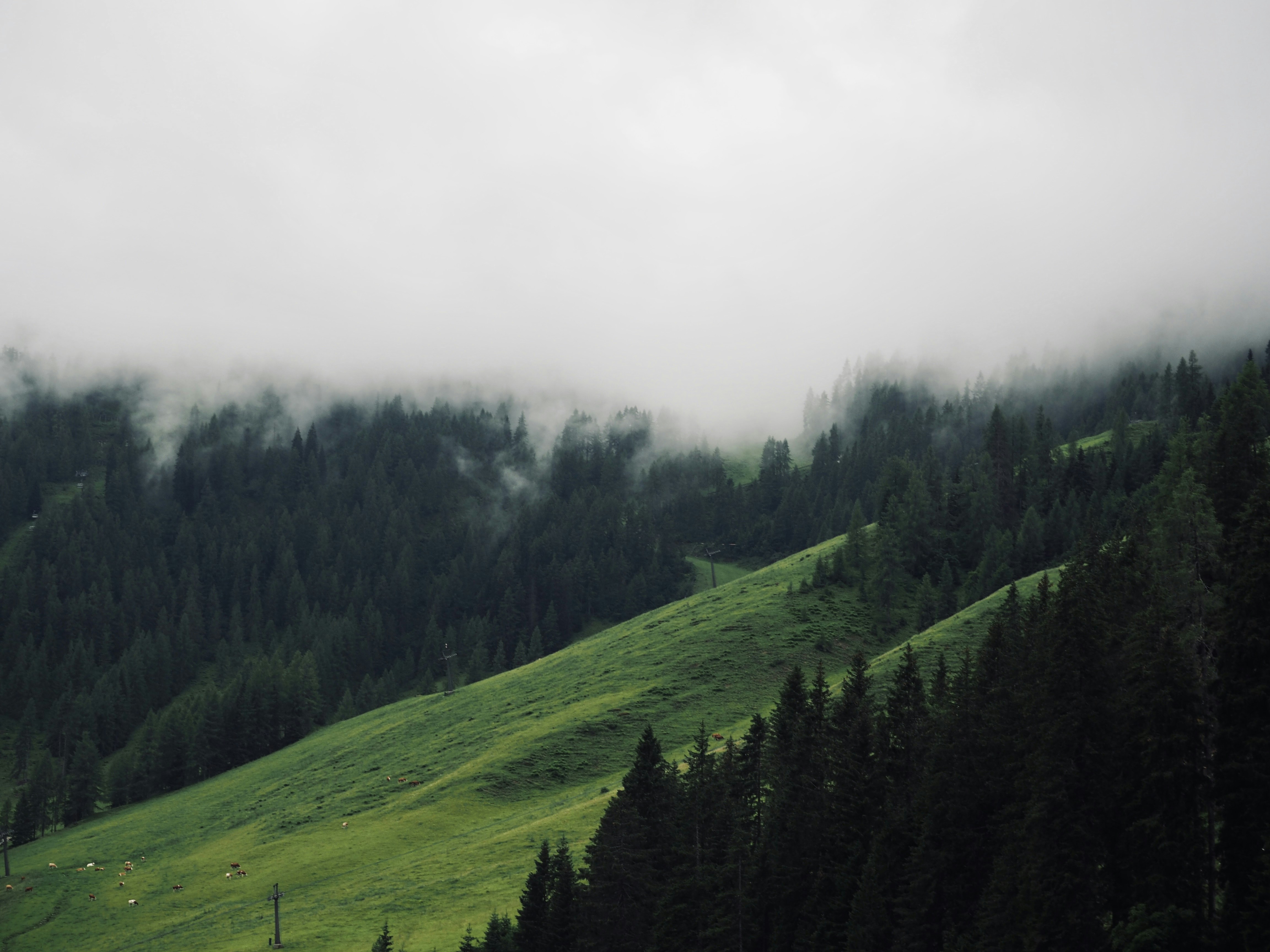 Photo by caroline_2603