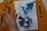 A spiral-bound notebook is open to a page filled with abstract watercolor patterns featuring blue and purple hues. Two small bottles of Ecoline liquid watercolor are resting on the notebook. A hand is reaching toward the left side of the frame, and a black pen is positioned next to the notebook. The surface beneath is a vibrant orange color.
