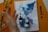 A spiral-bound notebook is open to a page filled with abstract watercolor patterns featuring blue and purple hues. Two small bottles of Ecoline liquid watercolor are resting on the notebook. A hand is reaching toward the left side of the frame, and a black pen is positioned next to the notebook. The surface beneath is a vibrant orange color.
