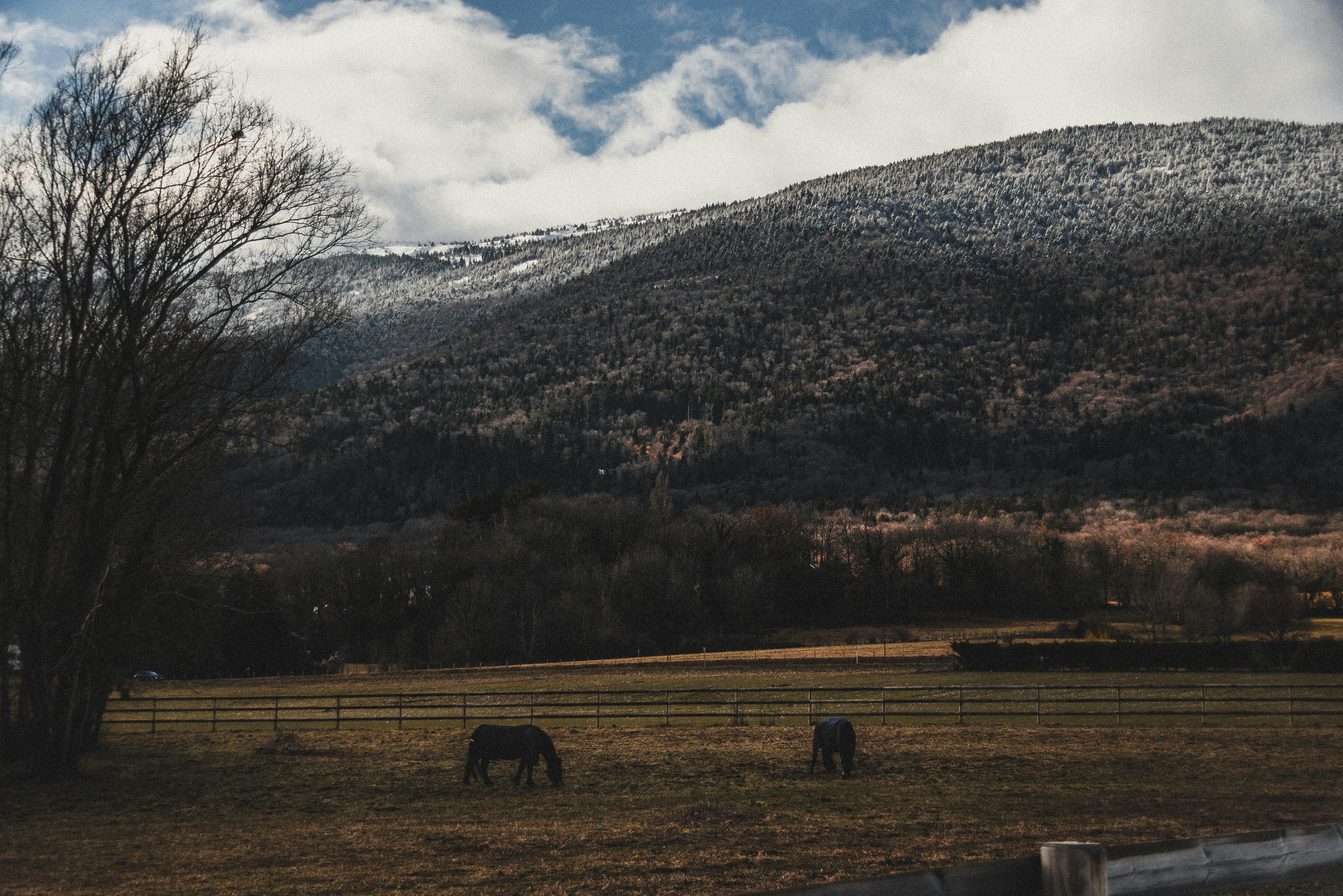 Photo by yigitarisoy