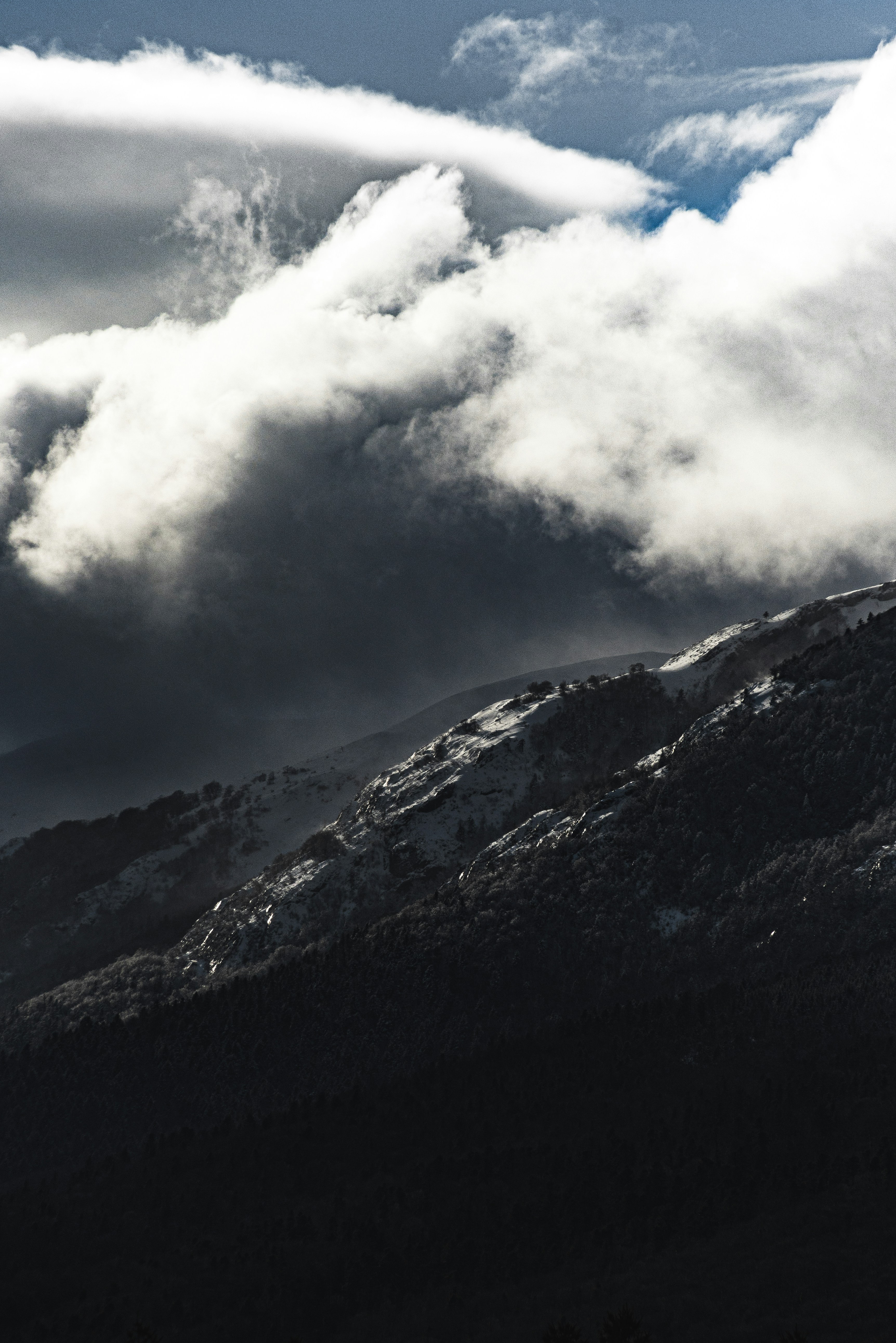 Photo by yigitarisoy