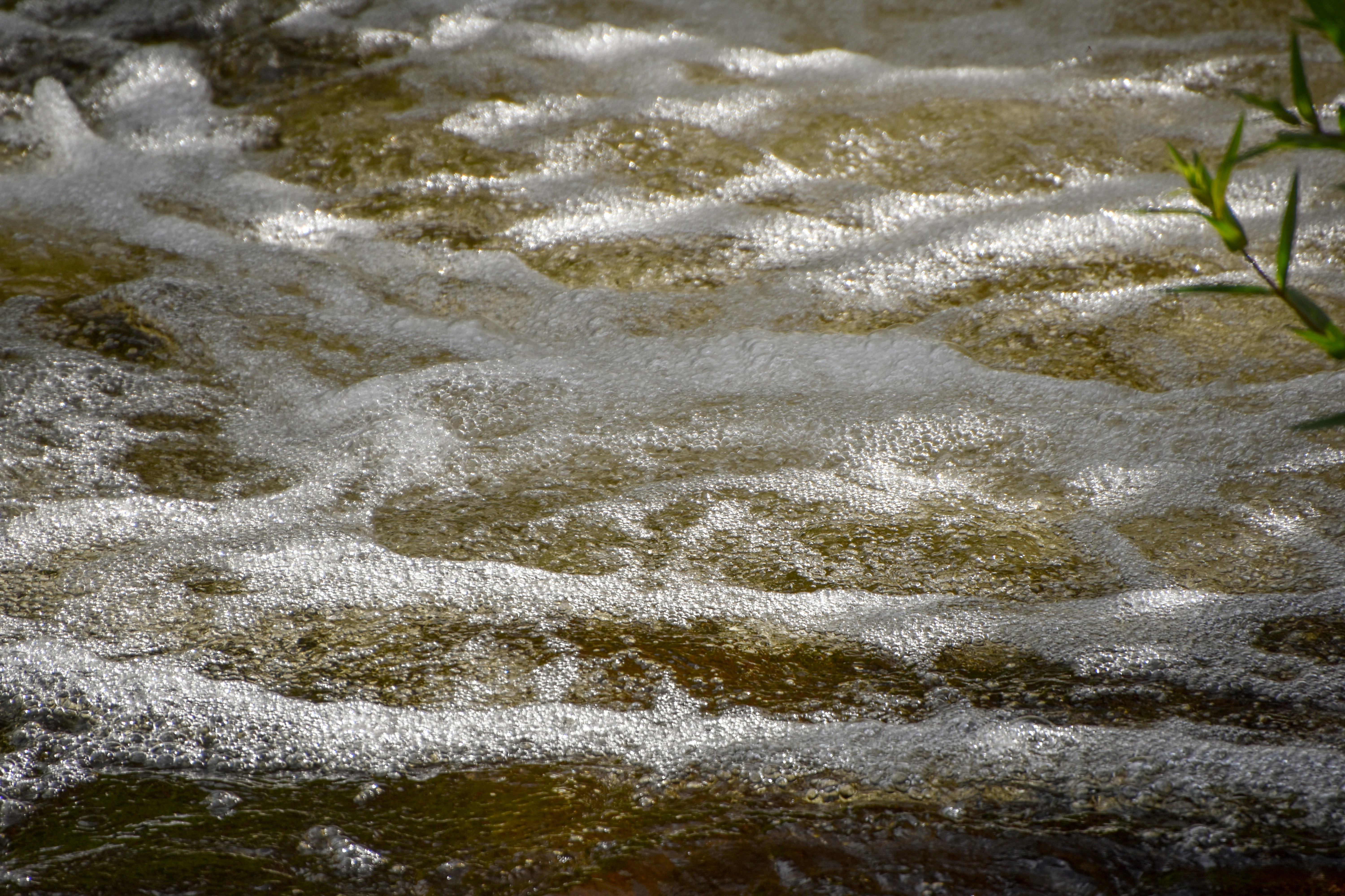 Photo by waldemarbrandt67w