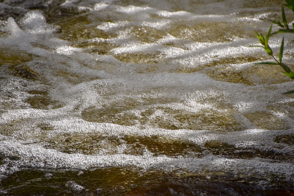 a close up of a small stream of water