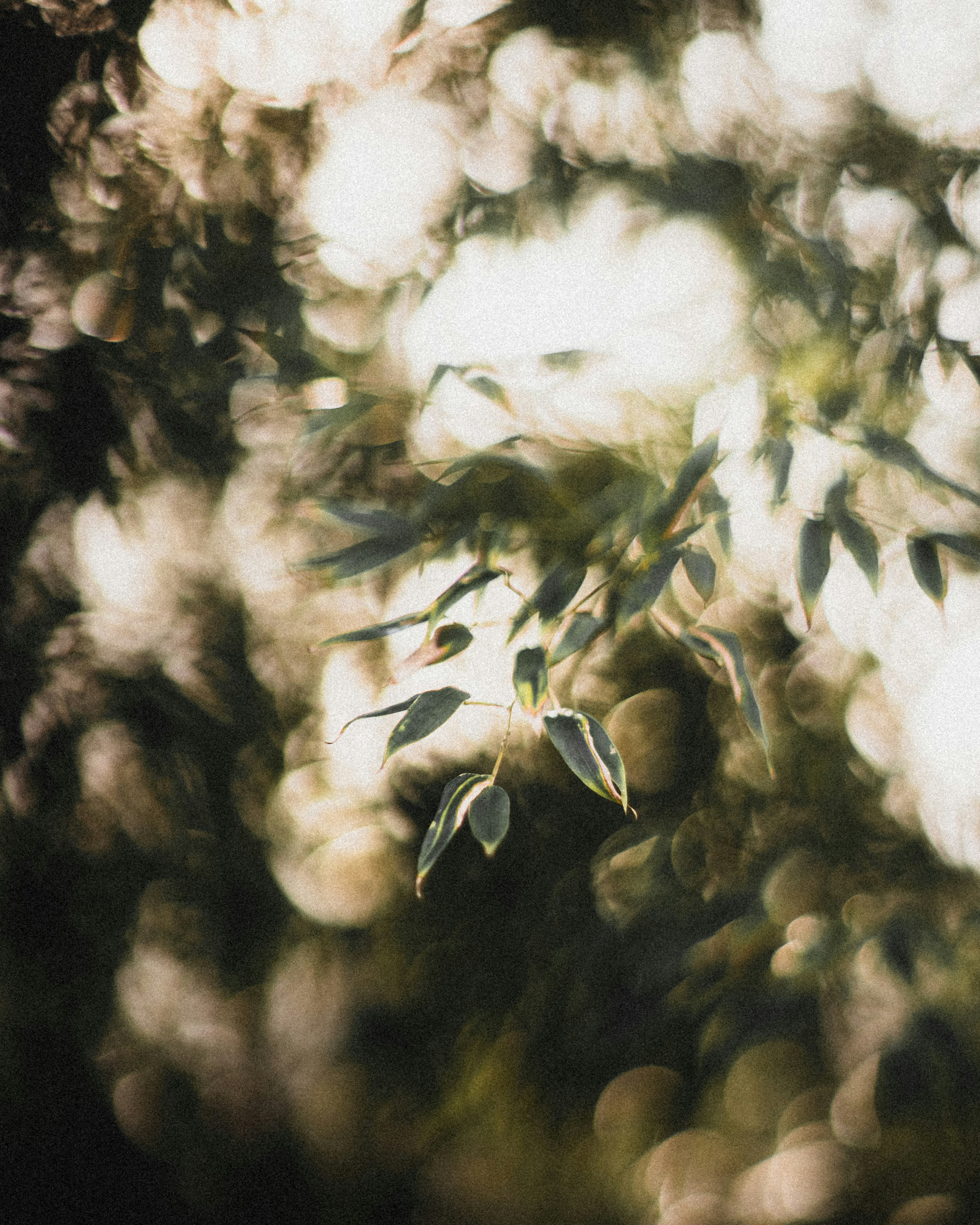 Photo by floppypaste