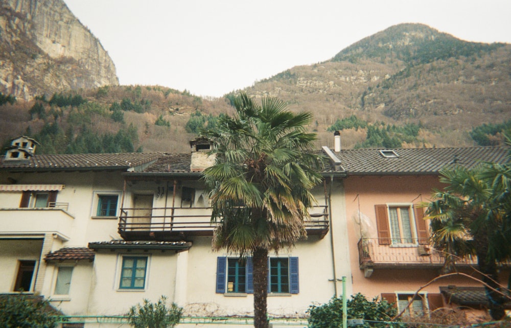 a palm tree in front of a building with mountains in the background