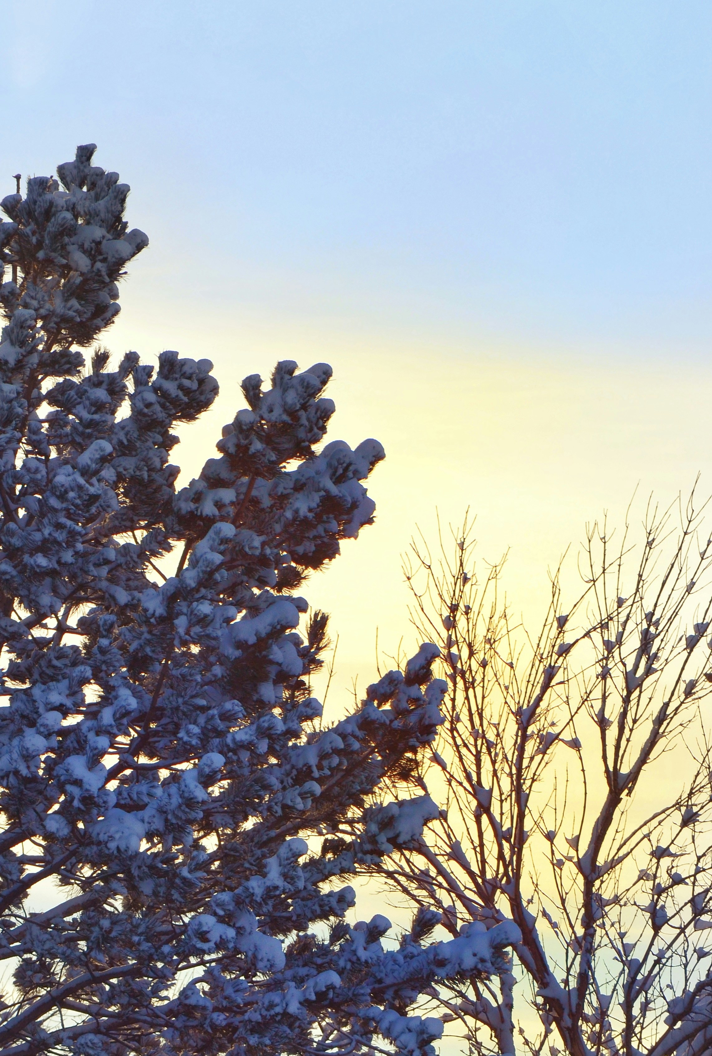 Photo by saswata_dash