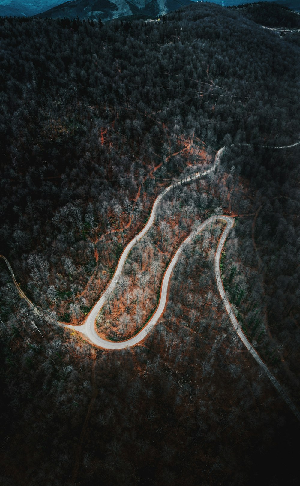 uma estrada sinuosa no meio de uma floresta